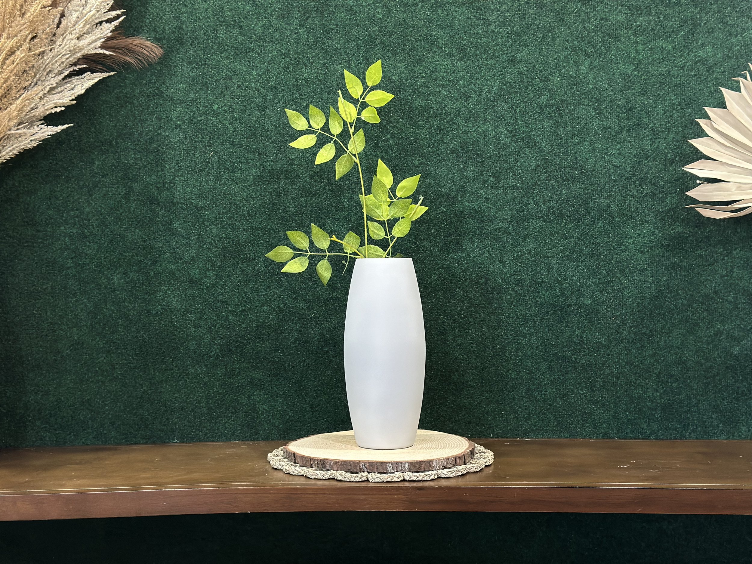 White vase with green leaves on wooden shelf against green background