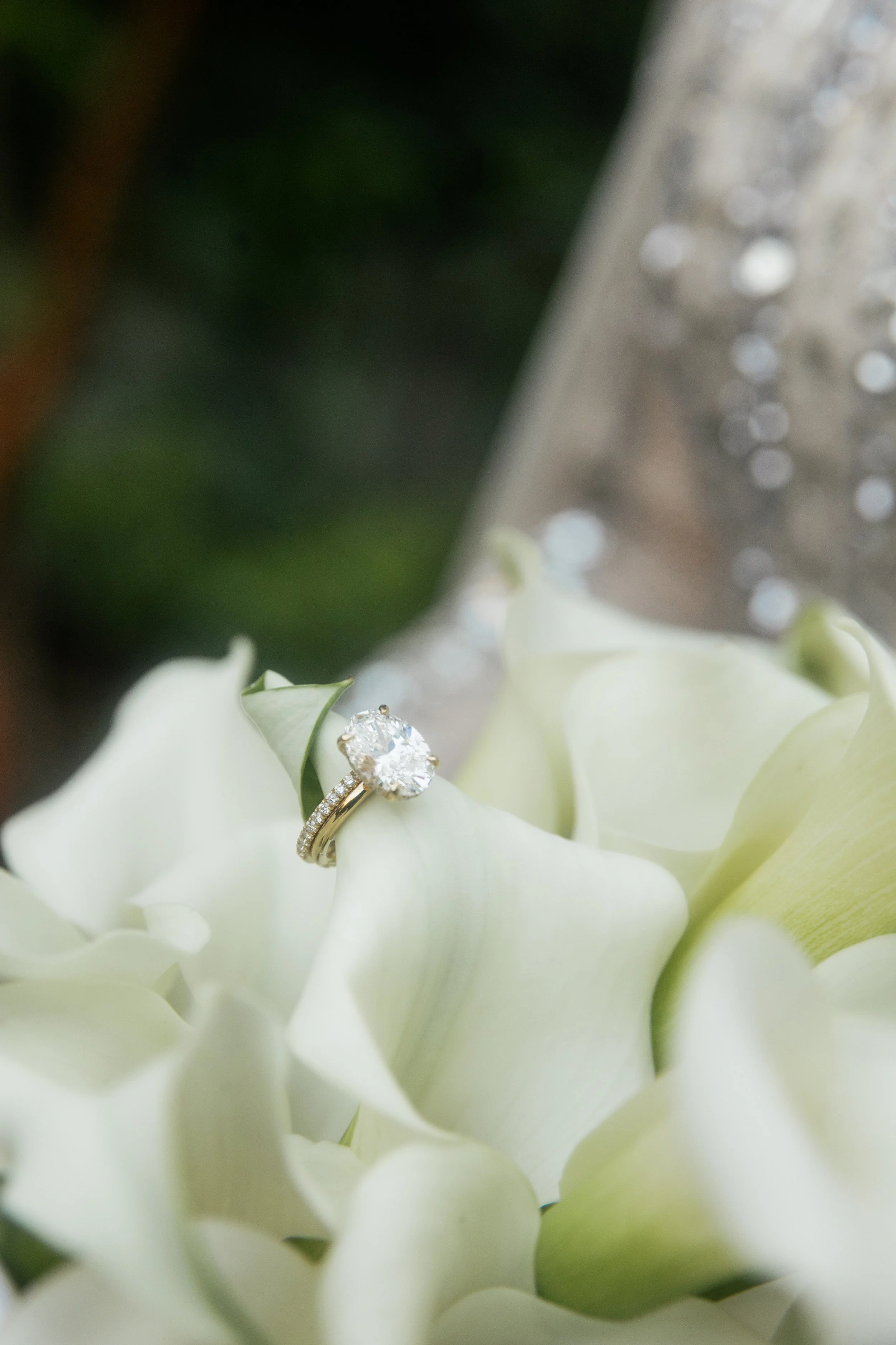 nakhphoto-168.jpg