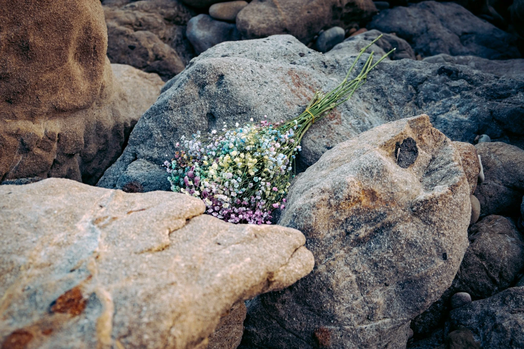 EDITED ERIN APRIL 6-40.jpg