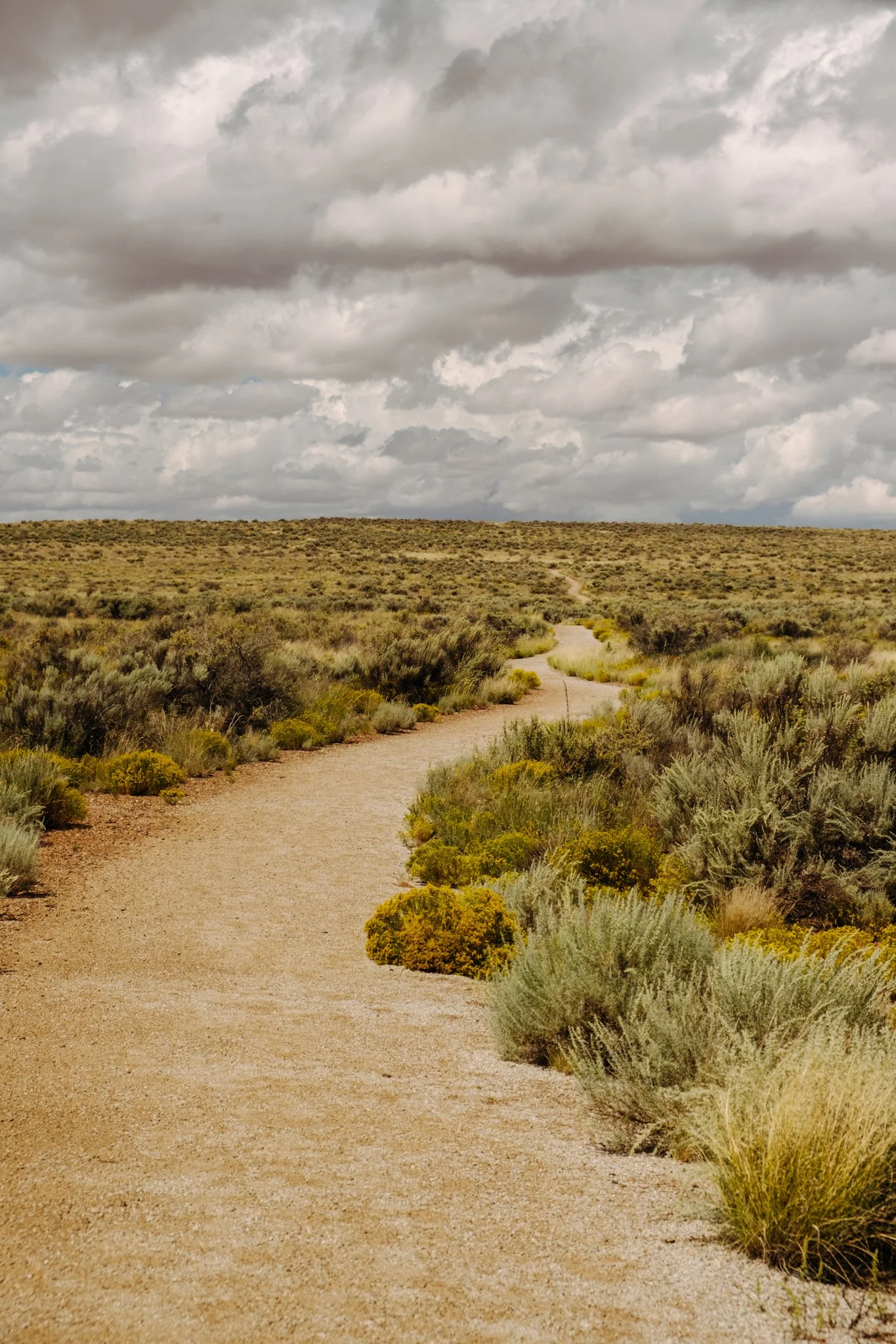 EDITED ROADTRIP-074.jpg