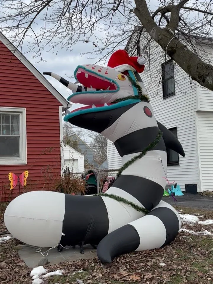 A little December photo dump filled with all the weird Christmas decorations, concerts, matzo ball soup, solstice fires and a few great beers over the last month. Plus Prince as you&rsquo;ve likely never seen him. Hope everyone is hanging tough this 