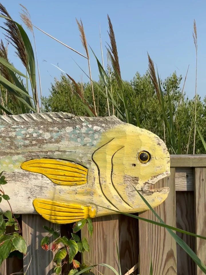 Phew. The last few weeks of summer have flown by. A beach trip to Delaware and Maryland! The worst jellyfish outbreak in 50 years! Camp pickup! Helping run the @crest.fest block party! Partnering with @derivebeer on a beer for said block party! And d