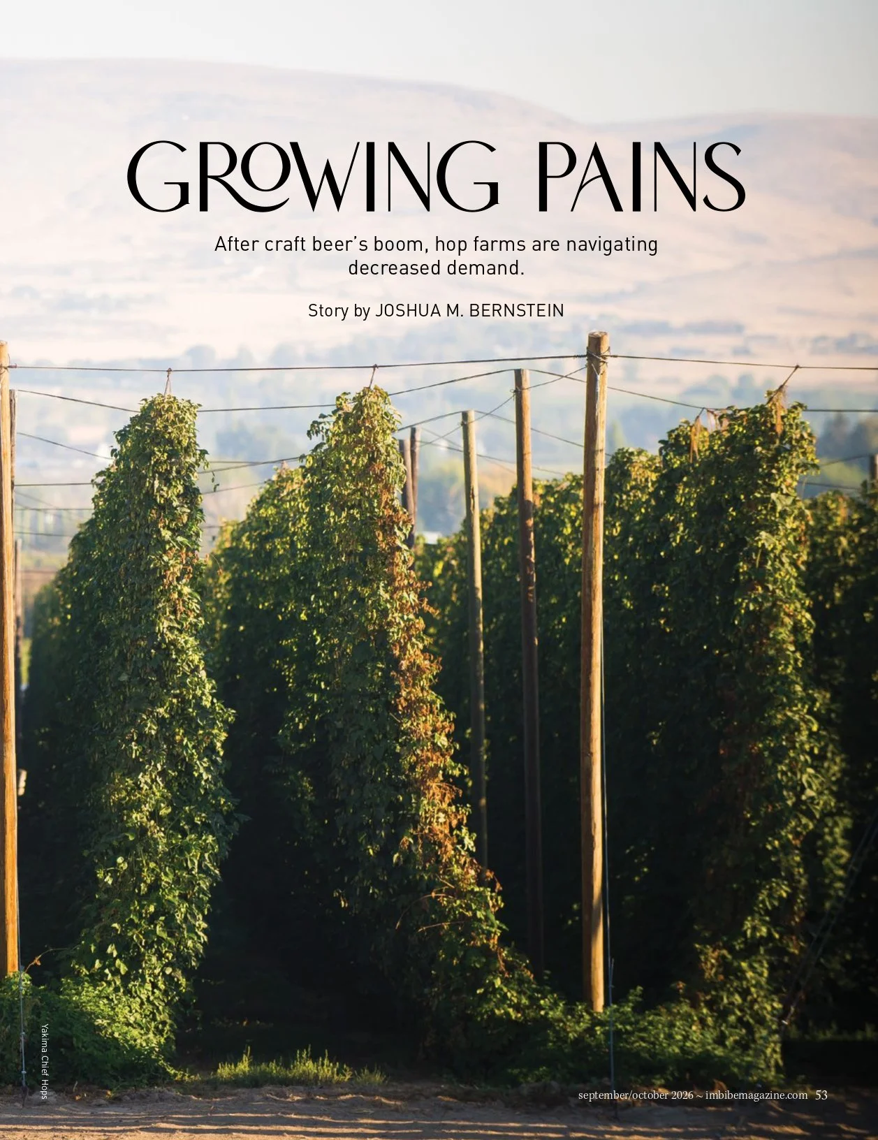 Growing Pains: After Craft Beer’s Boom,  Hop Farms Are Navigating Decreased Demand: Imbibe