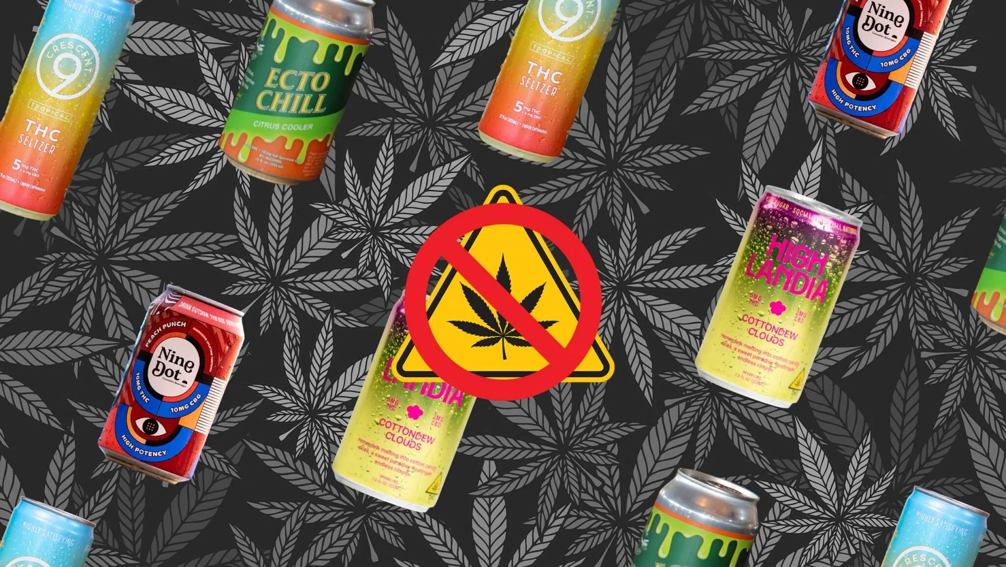 How Hemp-Beverage Brands Are Preparing for a Potential Prohibition | SevenFifty Daily 