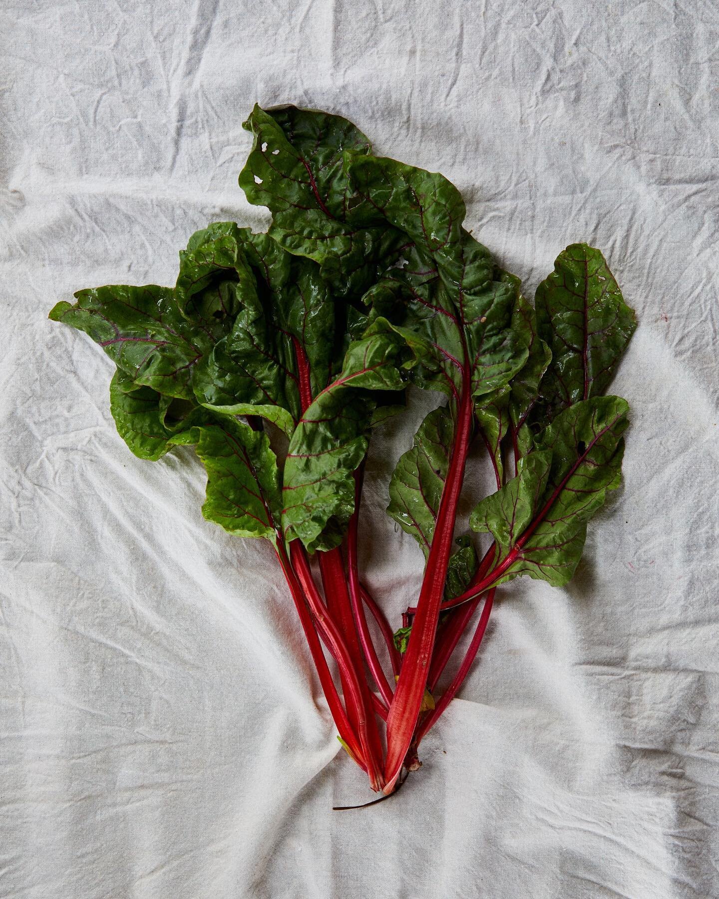 Organic chard picked straight from the garden. 
.
.
.
.
#farmstay #mudgeeregion #mudgeewine #mudgeewedding #mudgeensw #mudgee #mudgeeaccommodation #visitnsw #airbnbmudgee #airbnb #weekendvibes #weekendgetaway #mood #tourismnsw #thecreekmudgee #austra