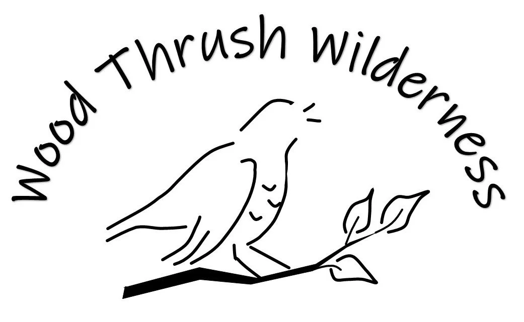 Guide Pack Basket Course — Wood Thrush Wilderness LLC