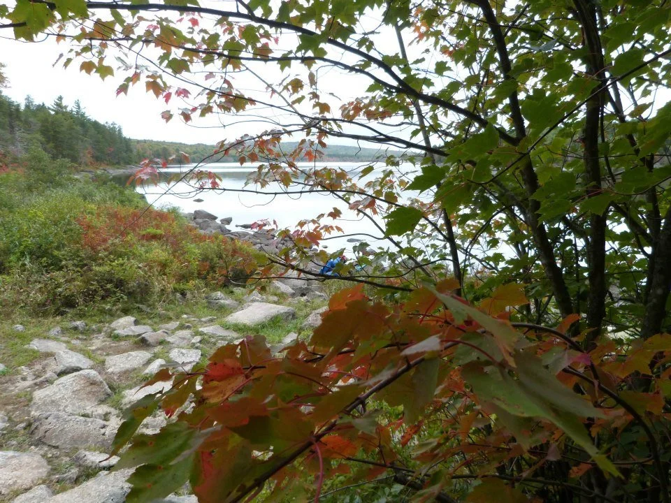 moose fall 1.jpg