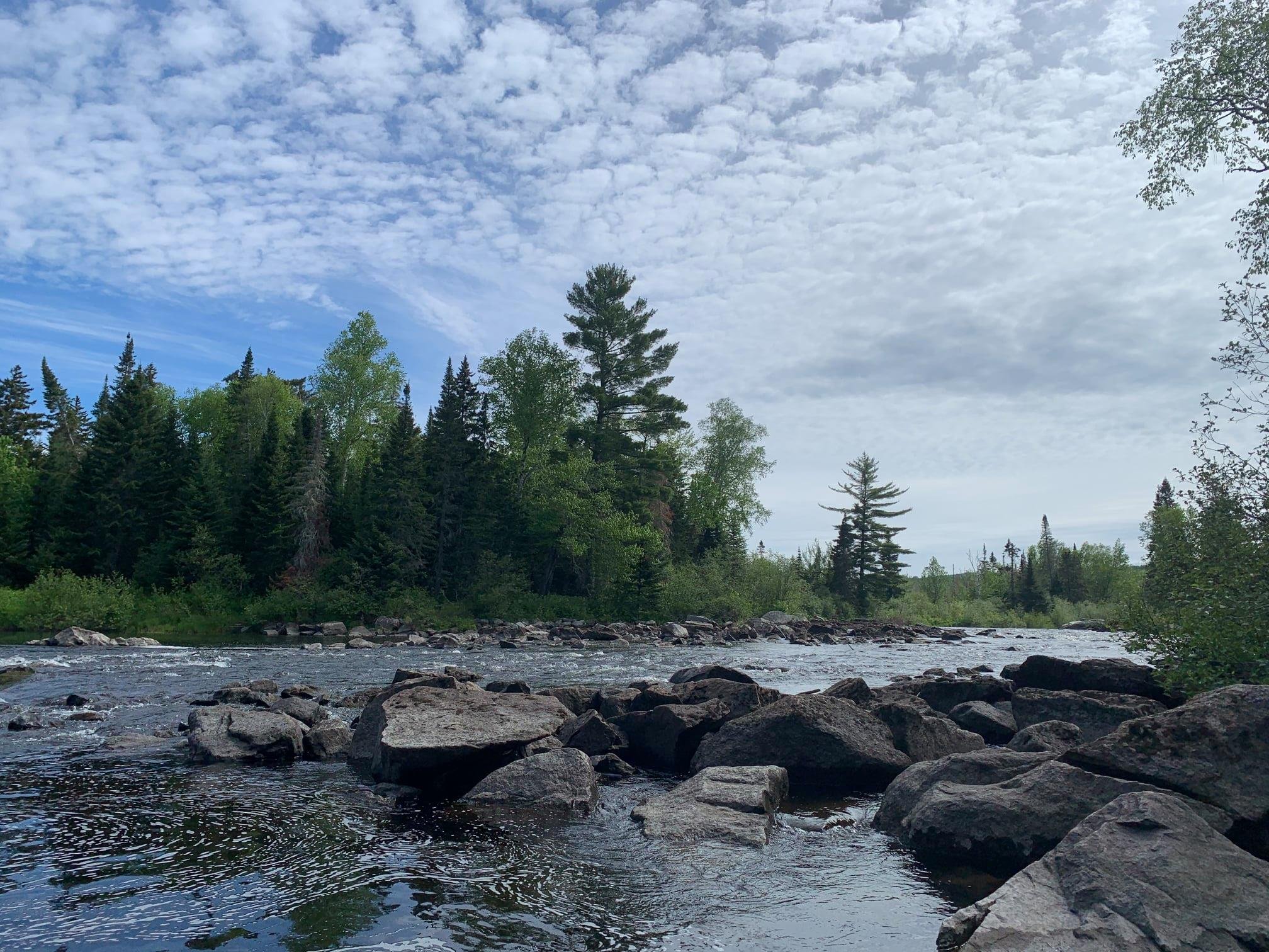 Moose River 4.jpg