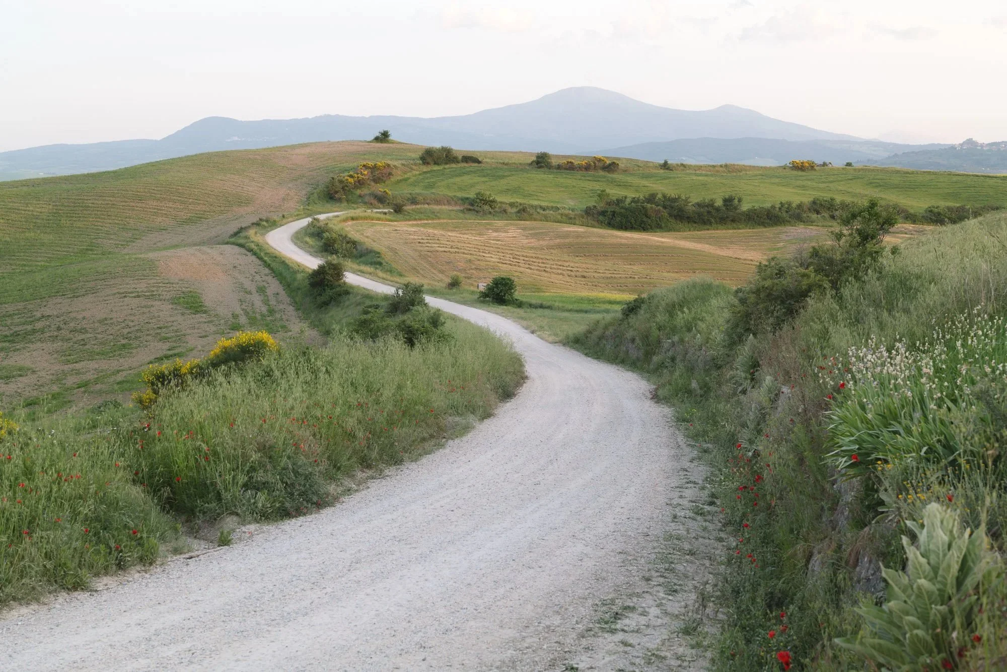 Squarespace+Tuscany-6.jpg