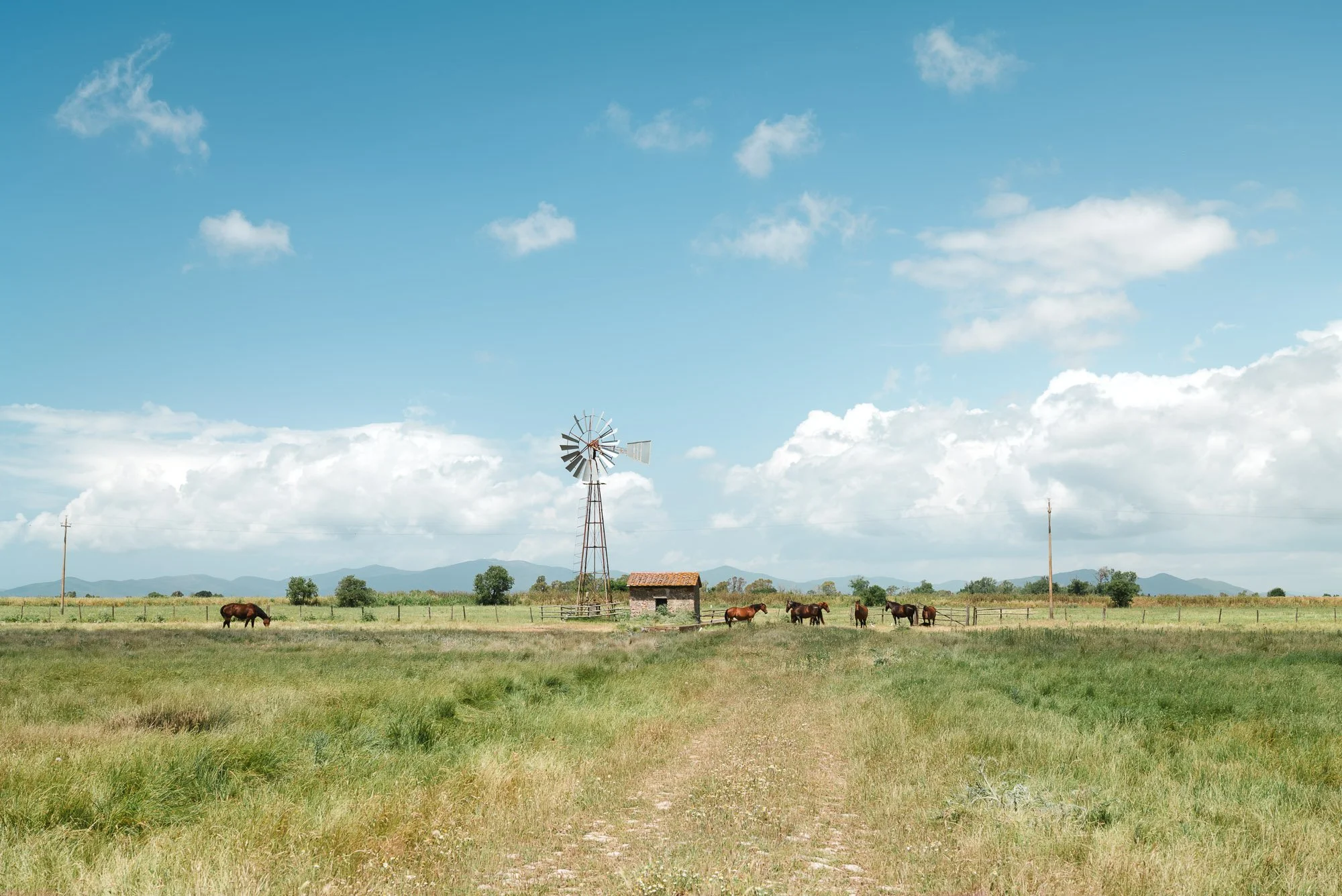 Squarespace Tuscany-28.jpg