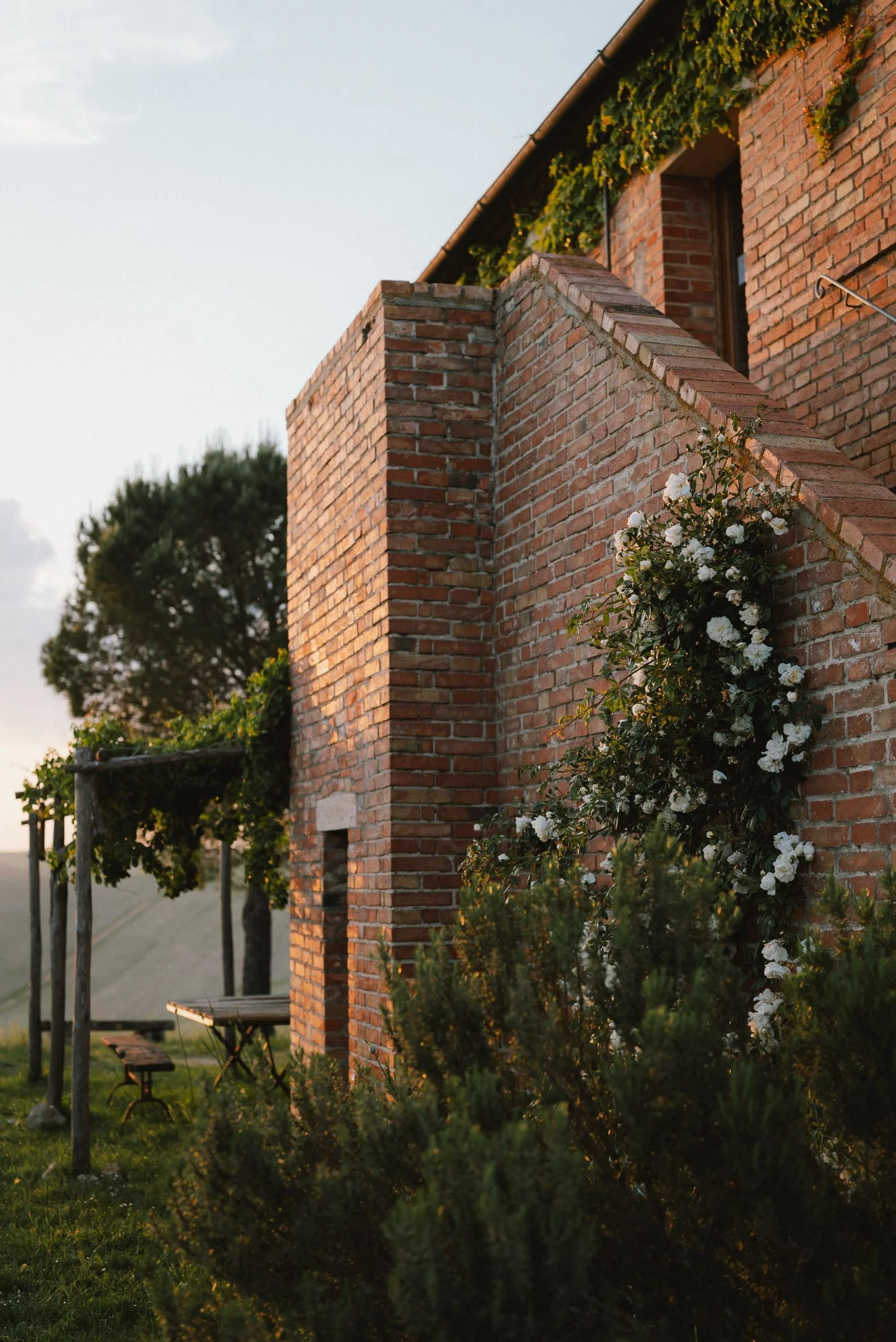 Squarespace Tuscany-5.jpg