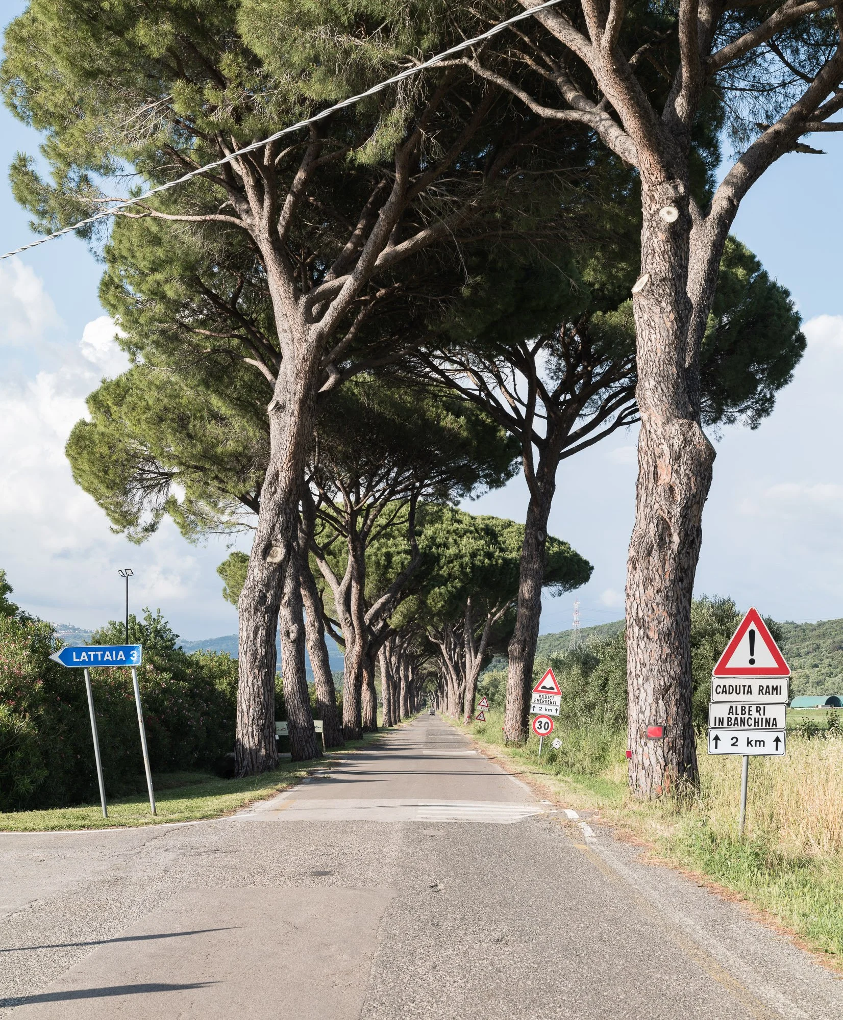 Squarespace Tuscany-33.jpg