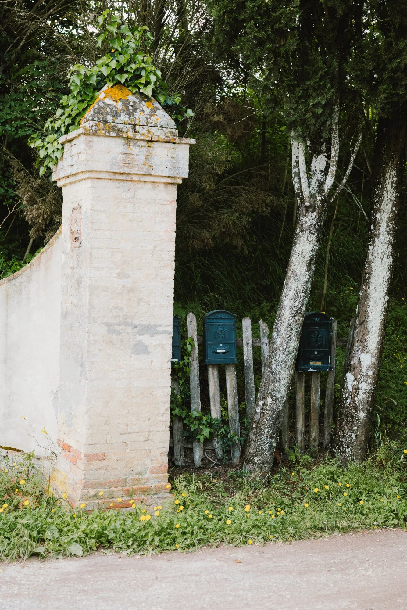 Squarespace Tuscany-4.jpg