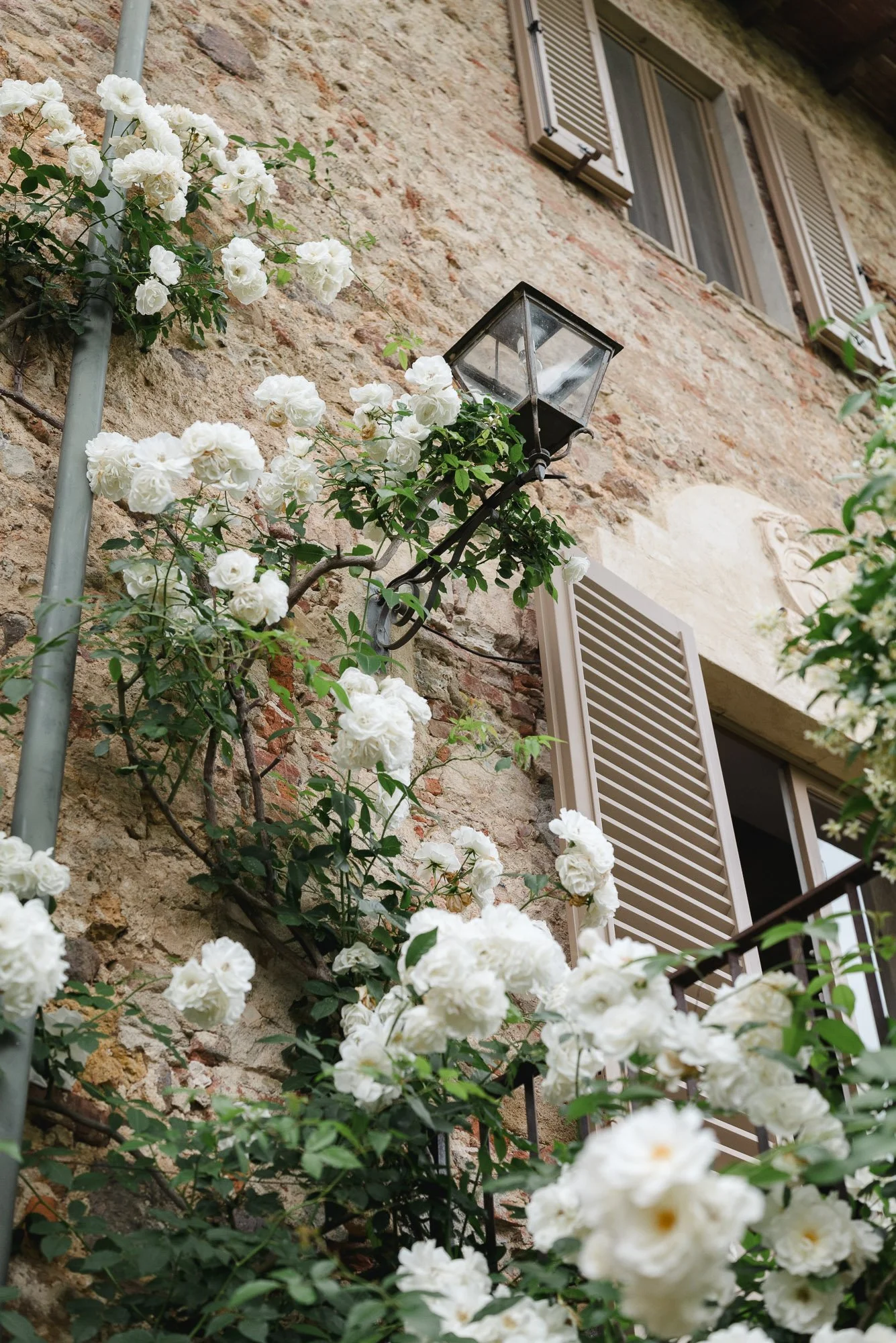 Squarespace Tuscany-26.jpg