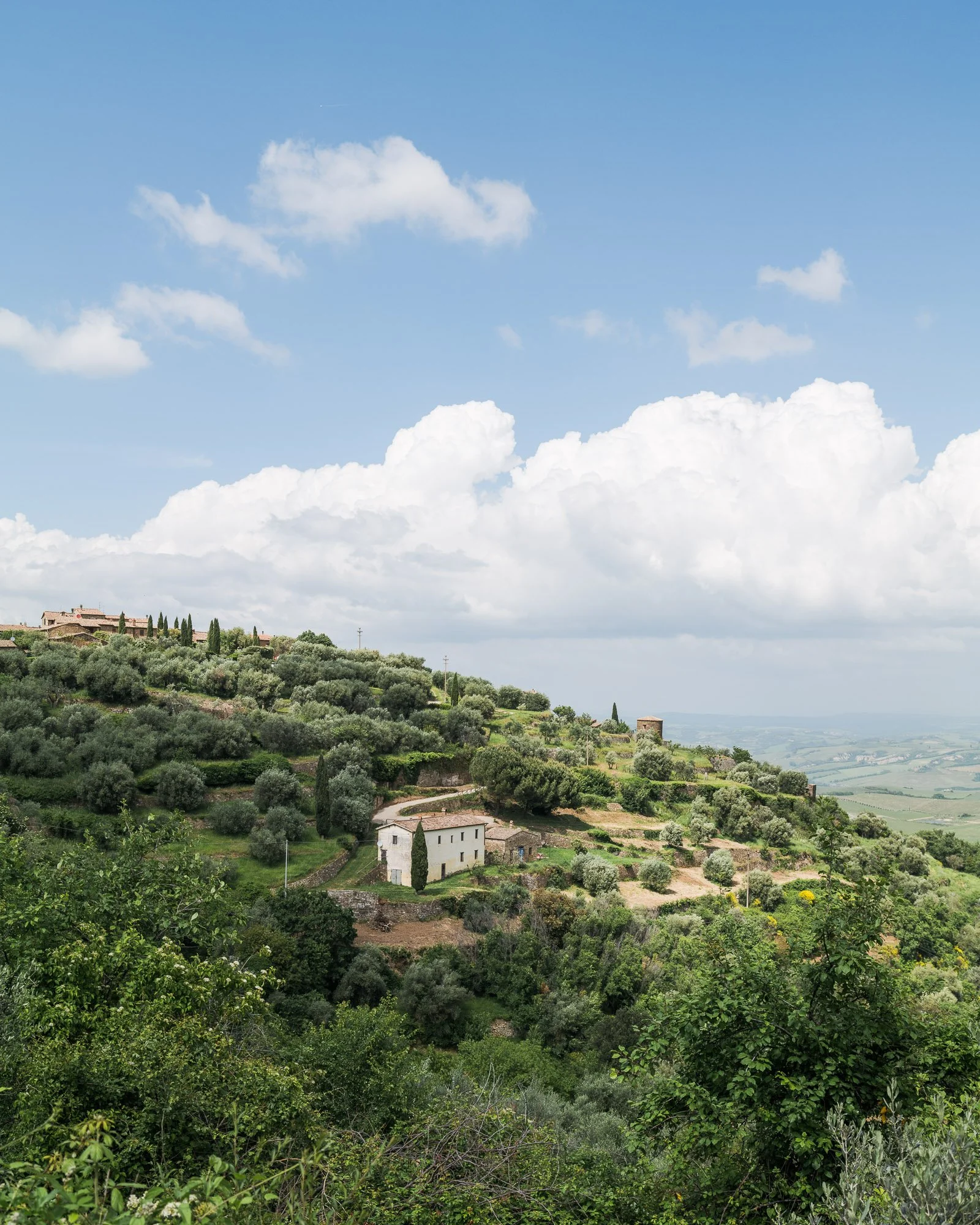 Squarespace Tuscany-13.jpg