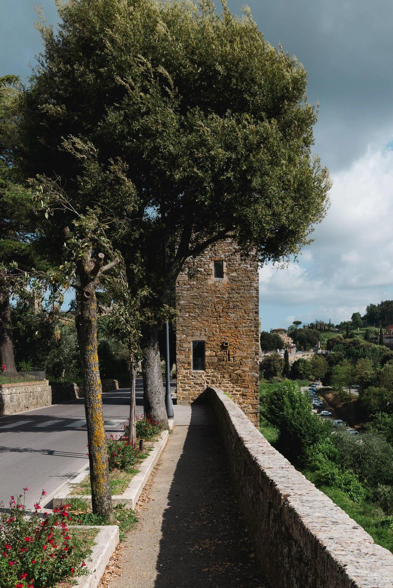 Squarespace Tuscany-15.jpg