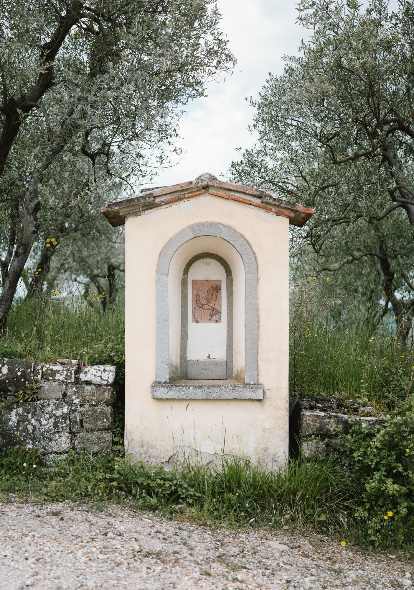 Squarespace Tuscany-3.jpg
