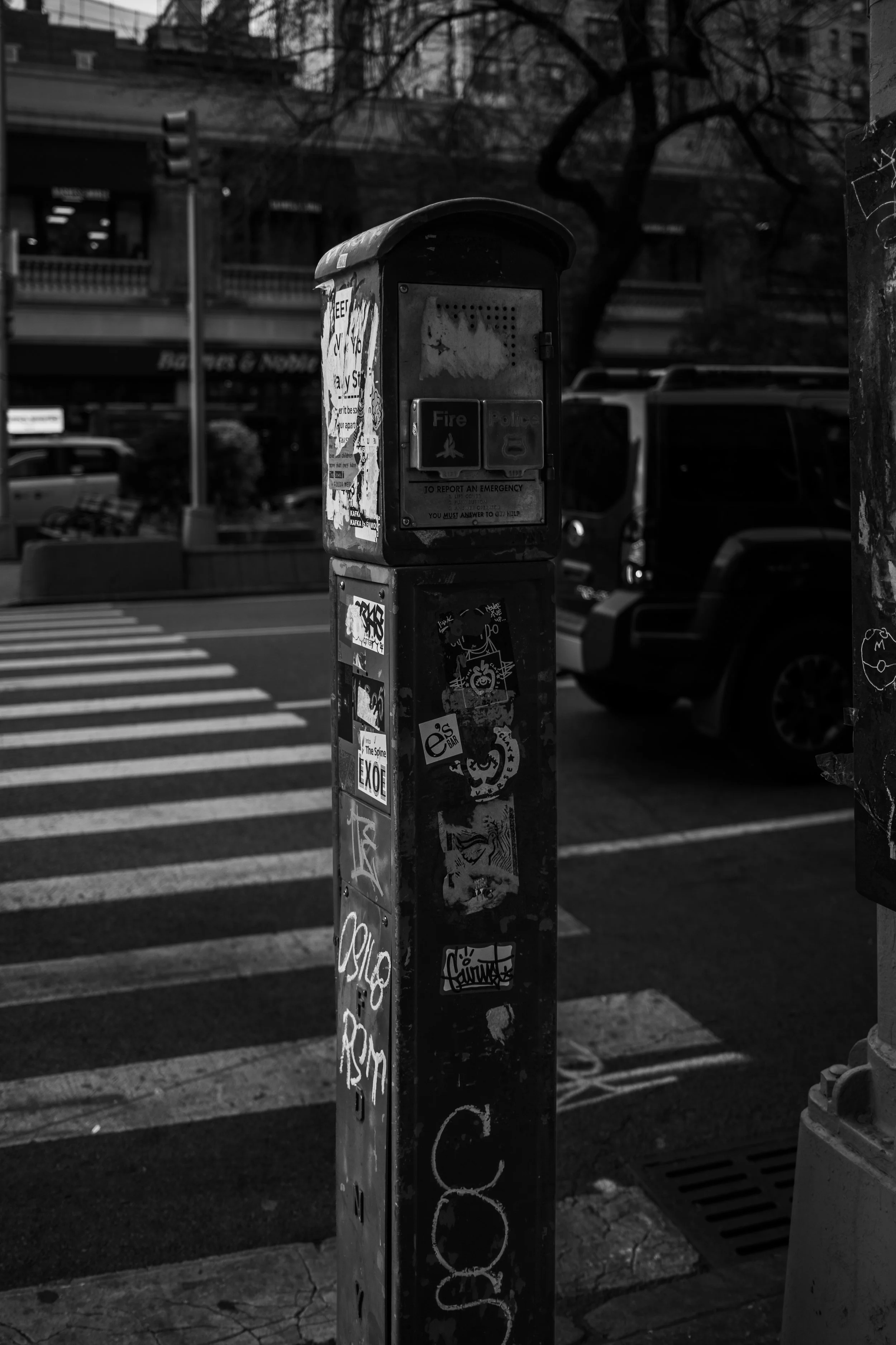 DSCF1641.jpg