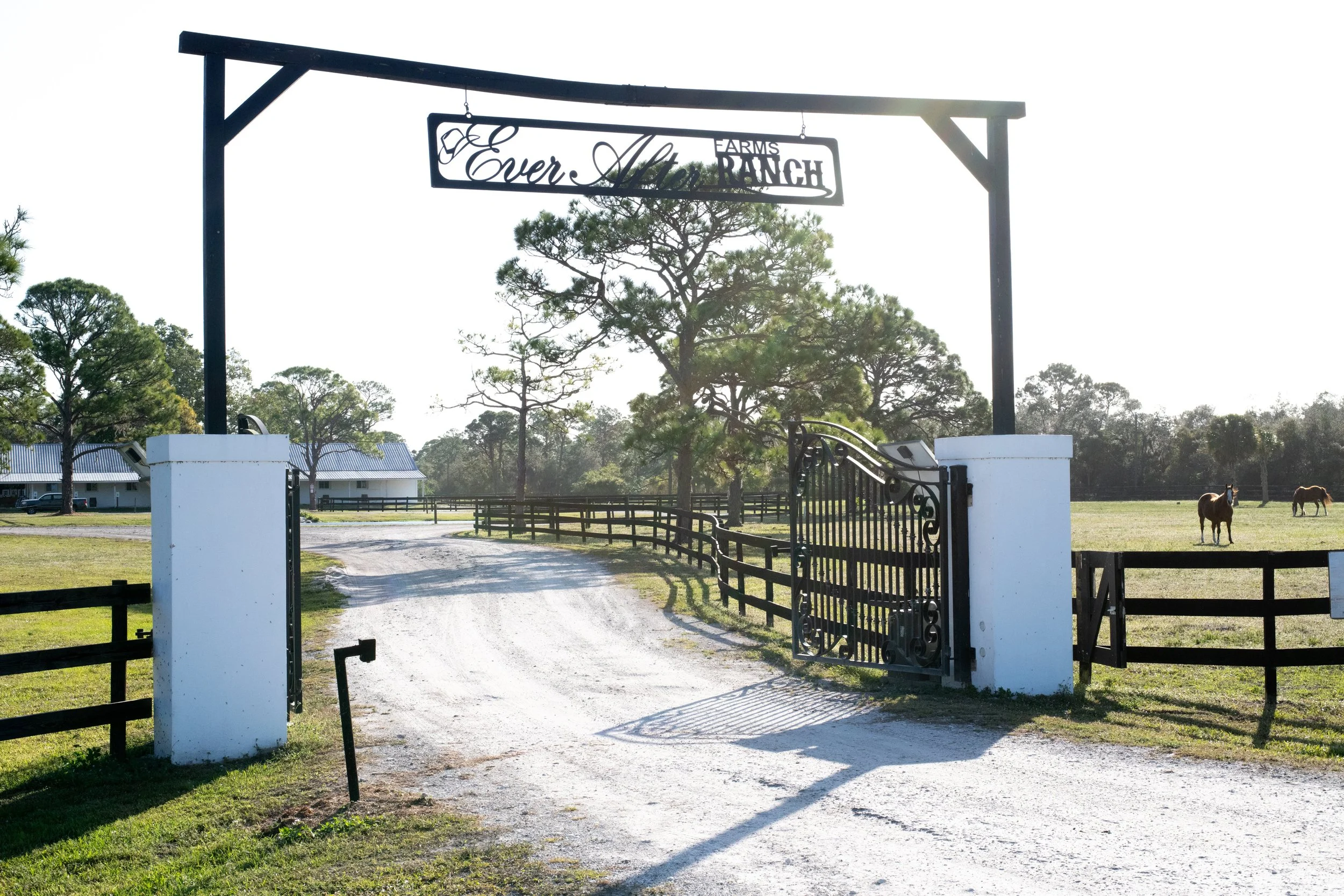 Teejal and Manny-10.jpeg