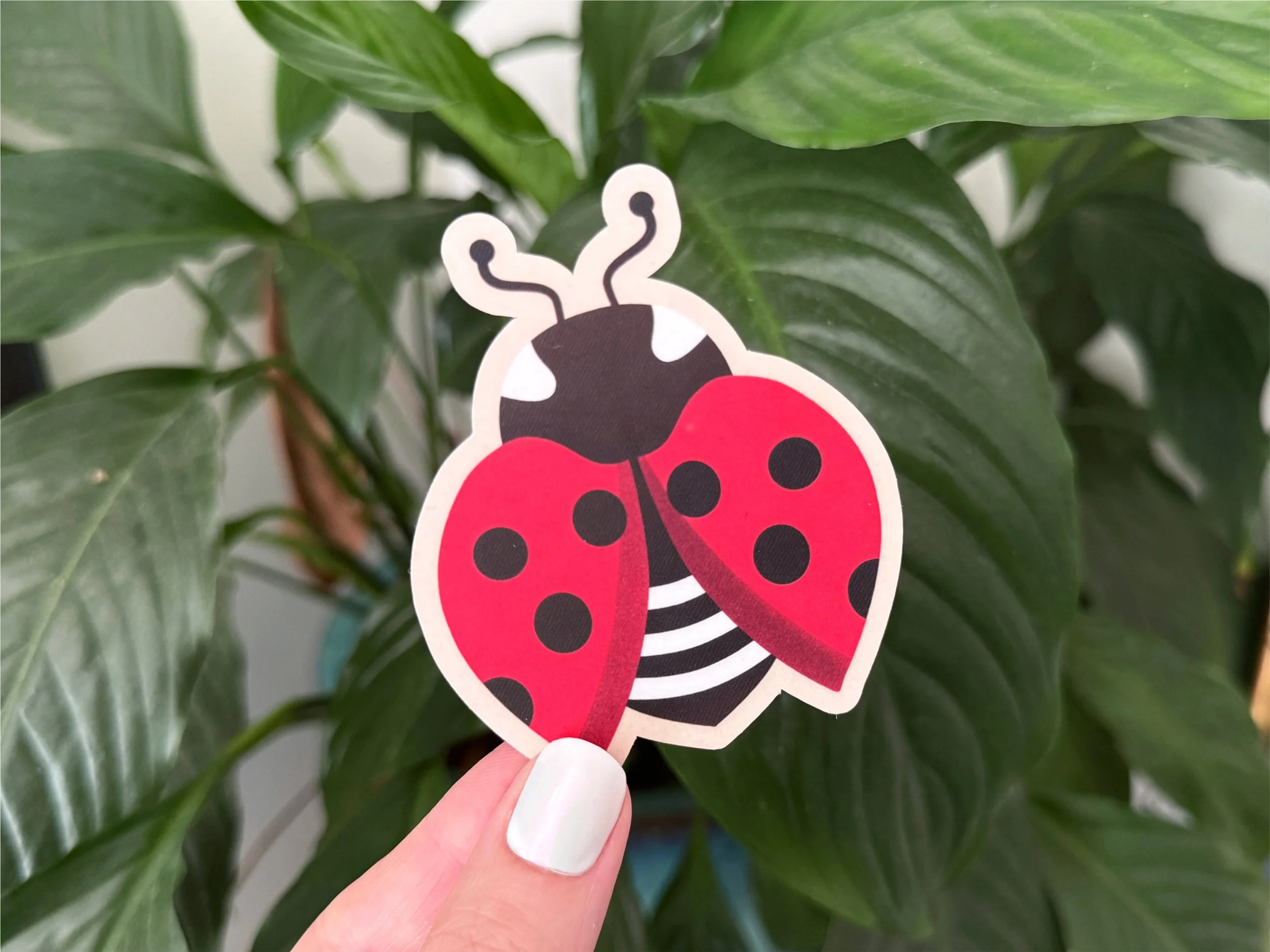 ladyfolk-sticker-ladybug-alone-plant.jpg