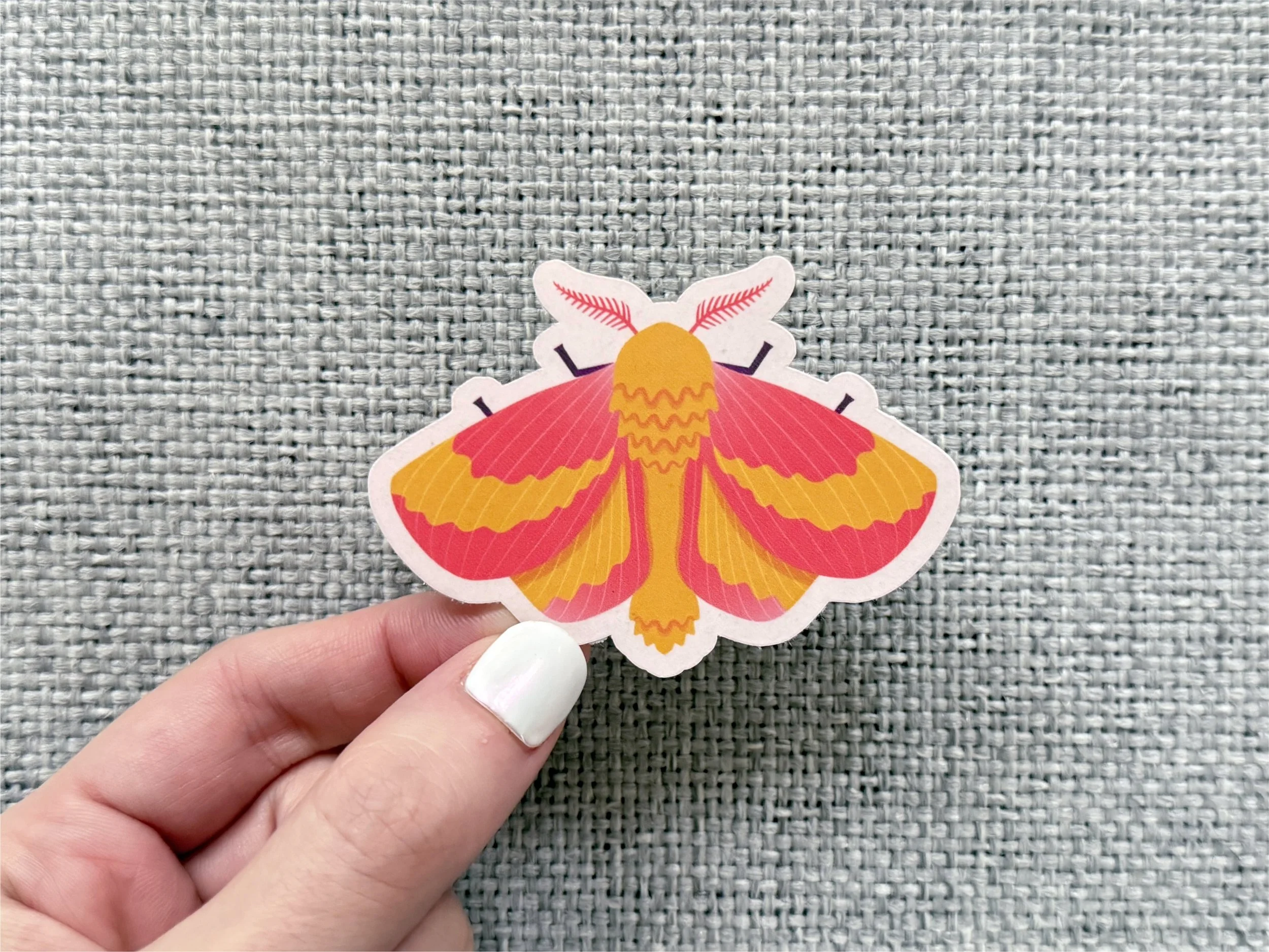 bandb-bugs-moth-sticker-inhand.jpg