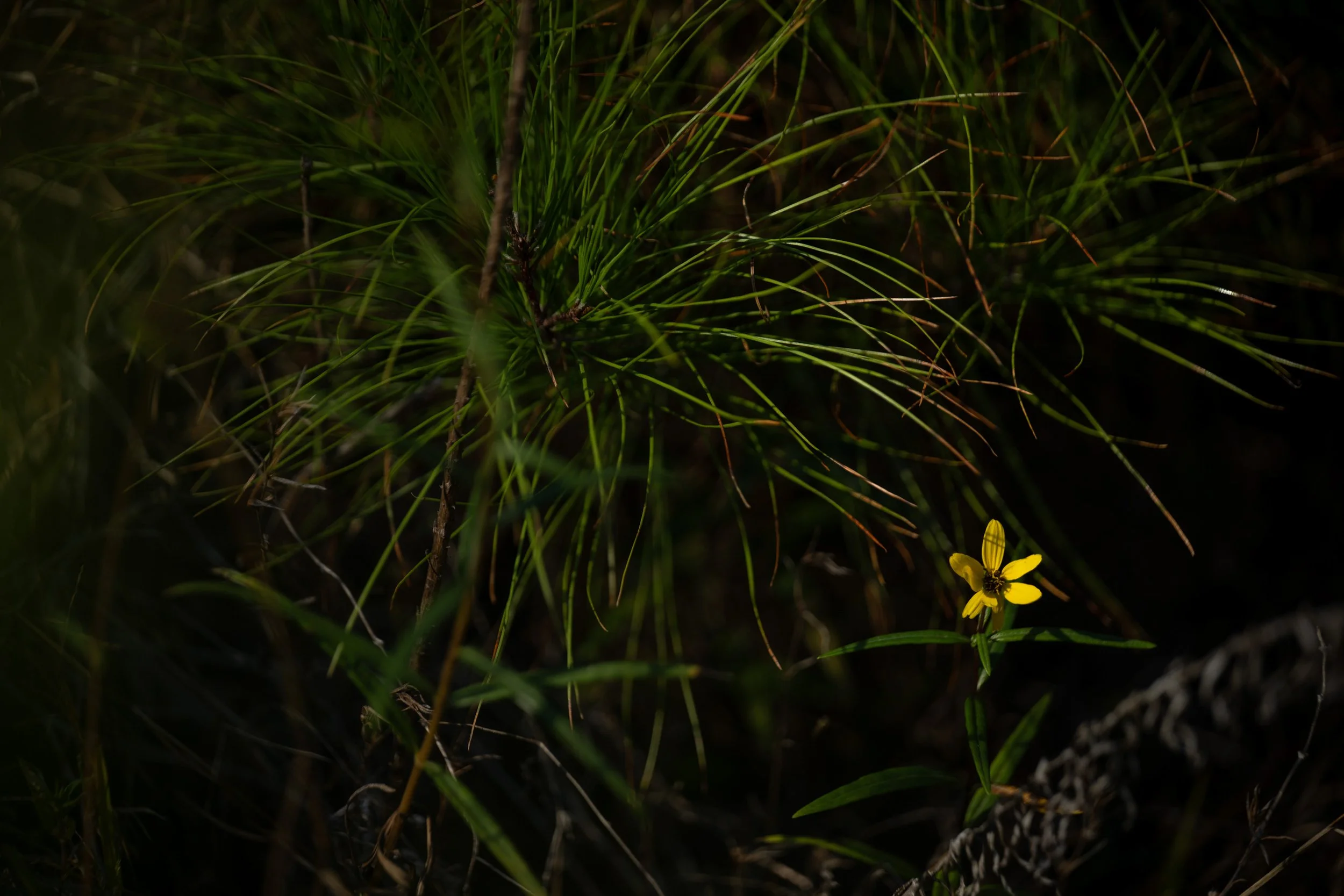 untitled-144.jpg