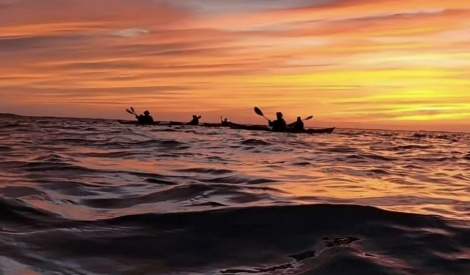 Cross&nbsp;Currents Courses and Trips 2026