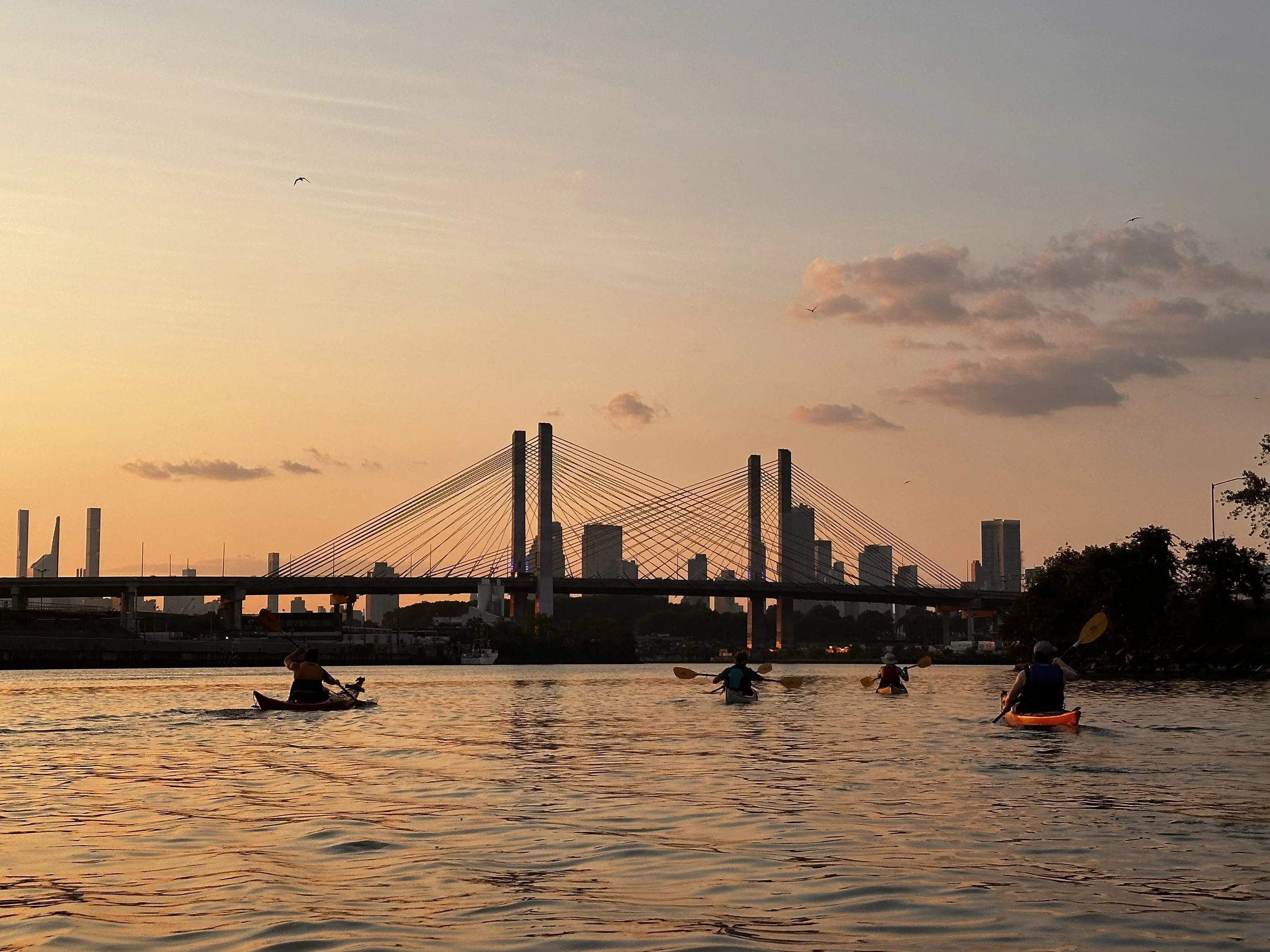 07-24-25 Birdwatching Newtown Creek