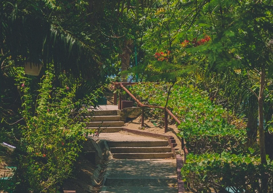 &iquest;Sab&iacute;as que Huatulco est&aacute; en una de las zonas de M&eacute;xico con mayor diversidad de paisajes? 🌊🌵

#oaxaca re&uacute;ne una enorme variedad de climas y ecosistemas, durante el verano me encontr&eacute; con algo que pasa desap
