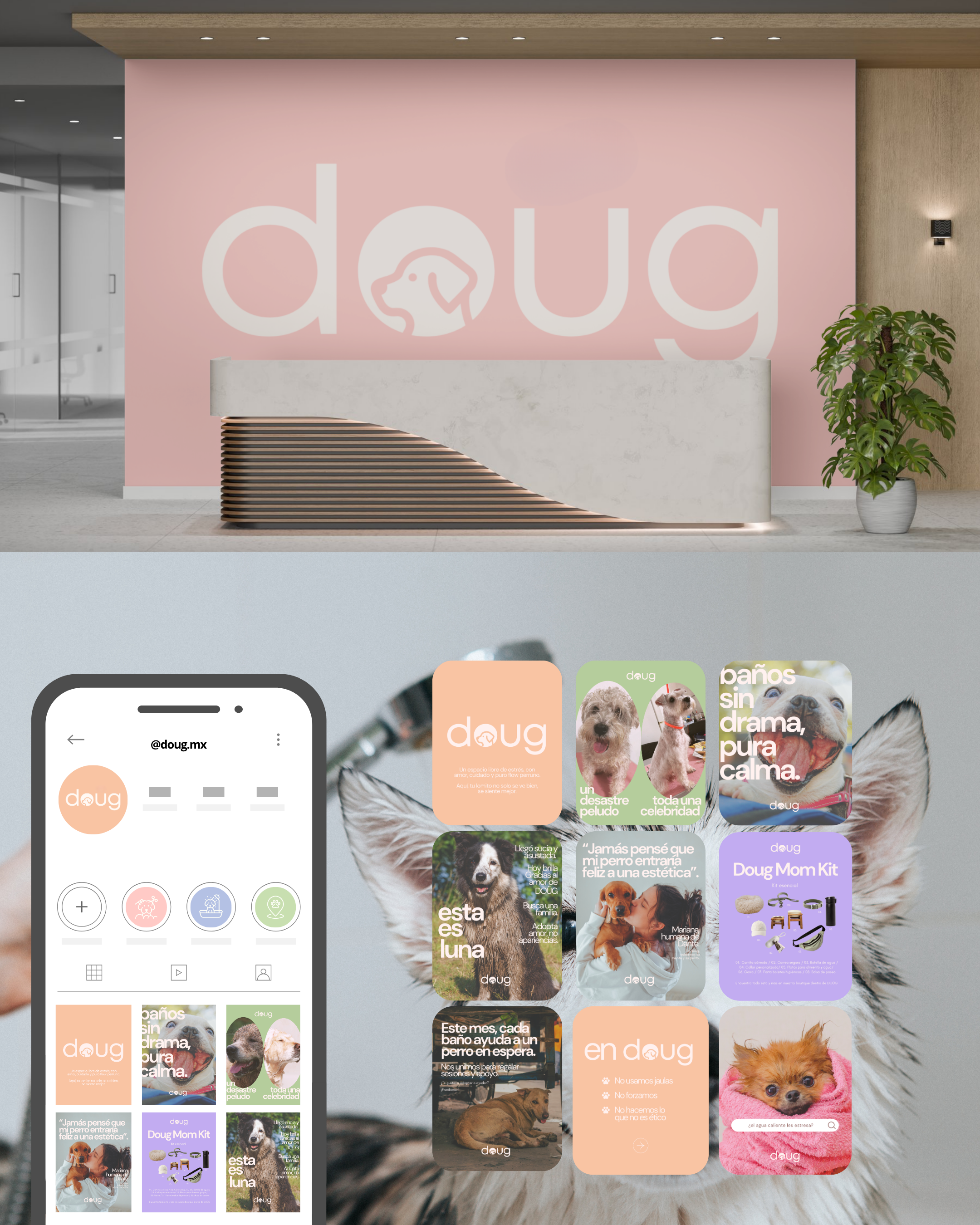 Diseño de Logo. Diseño de portada de highlights y posts.