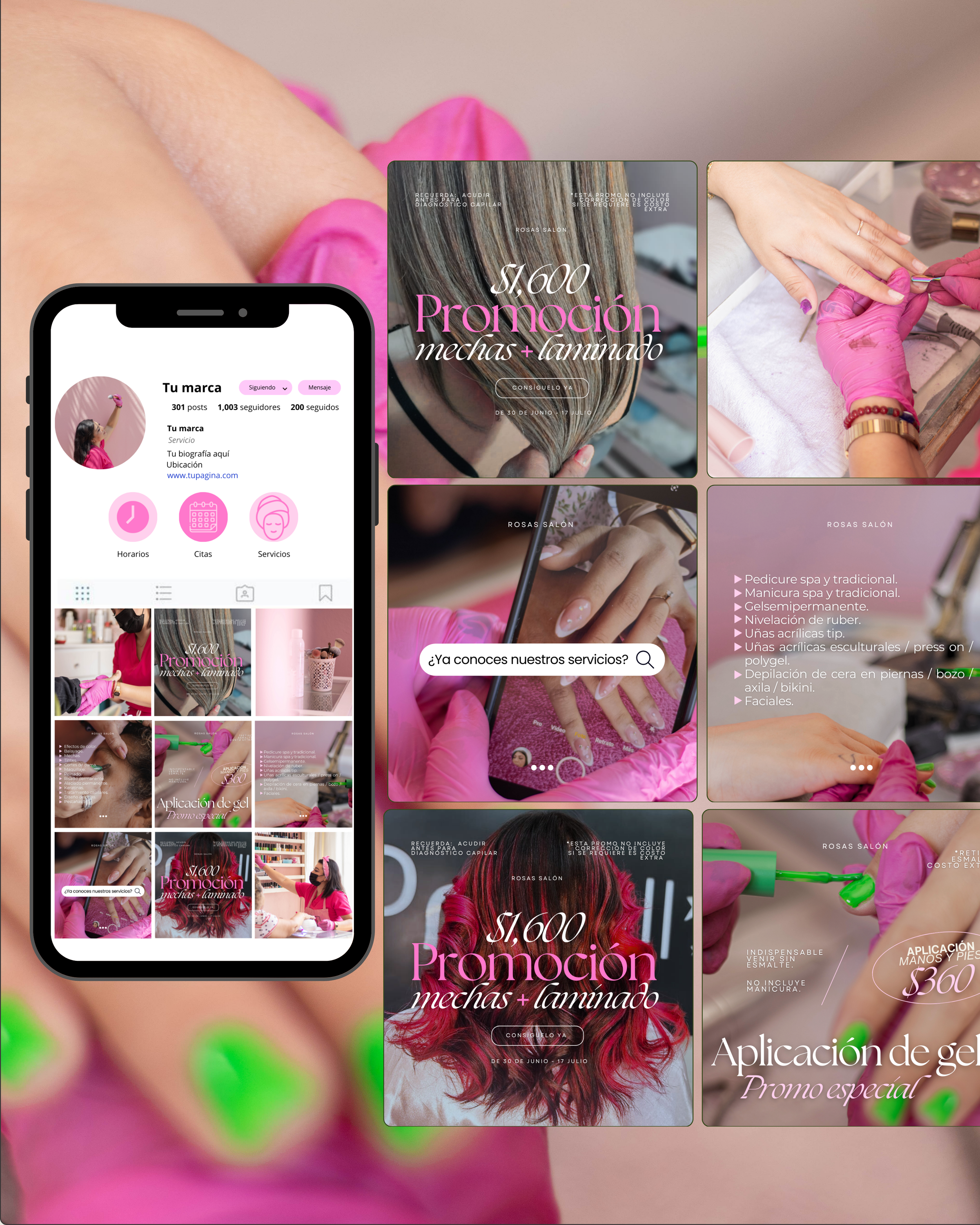 Diseño de Posts y Highlights.
