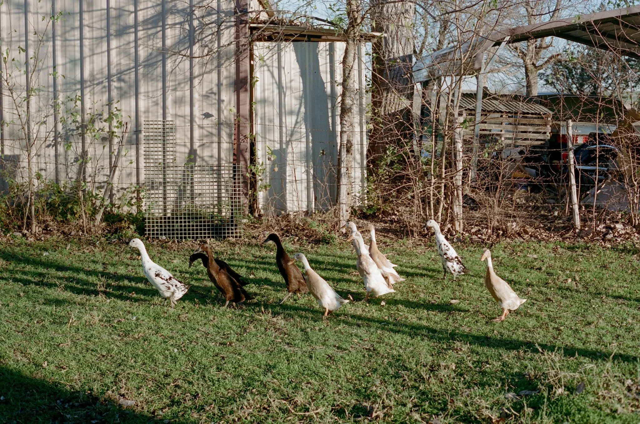 000013860013 (1).jpg