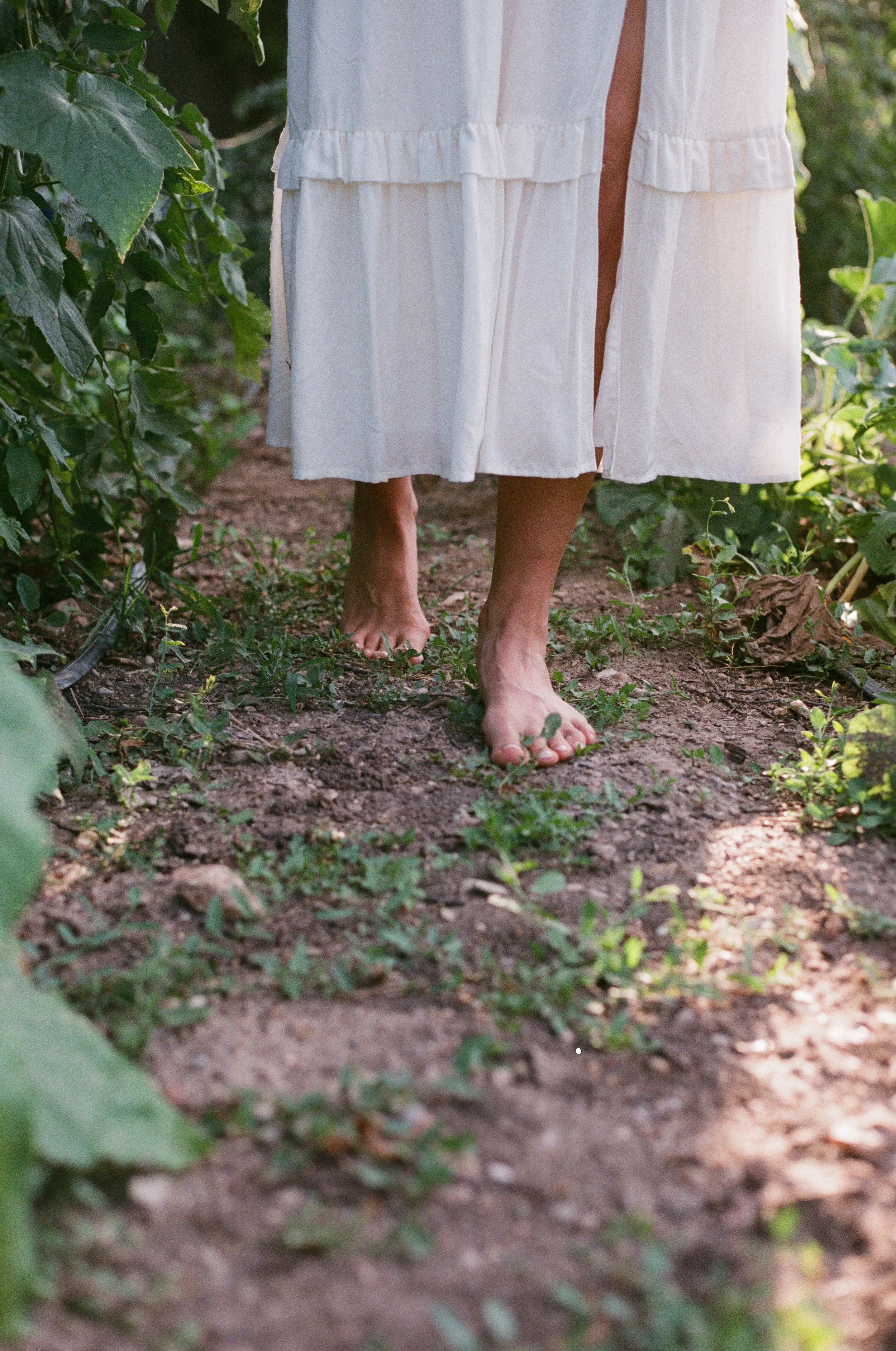 000004170039 (1).jpg