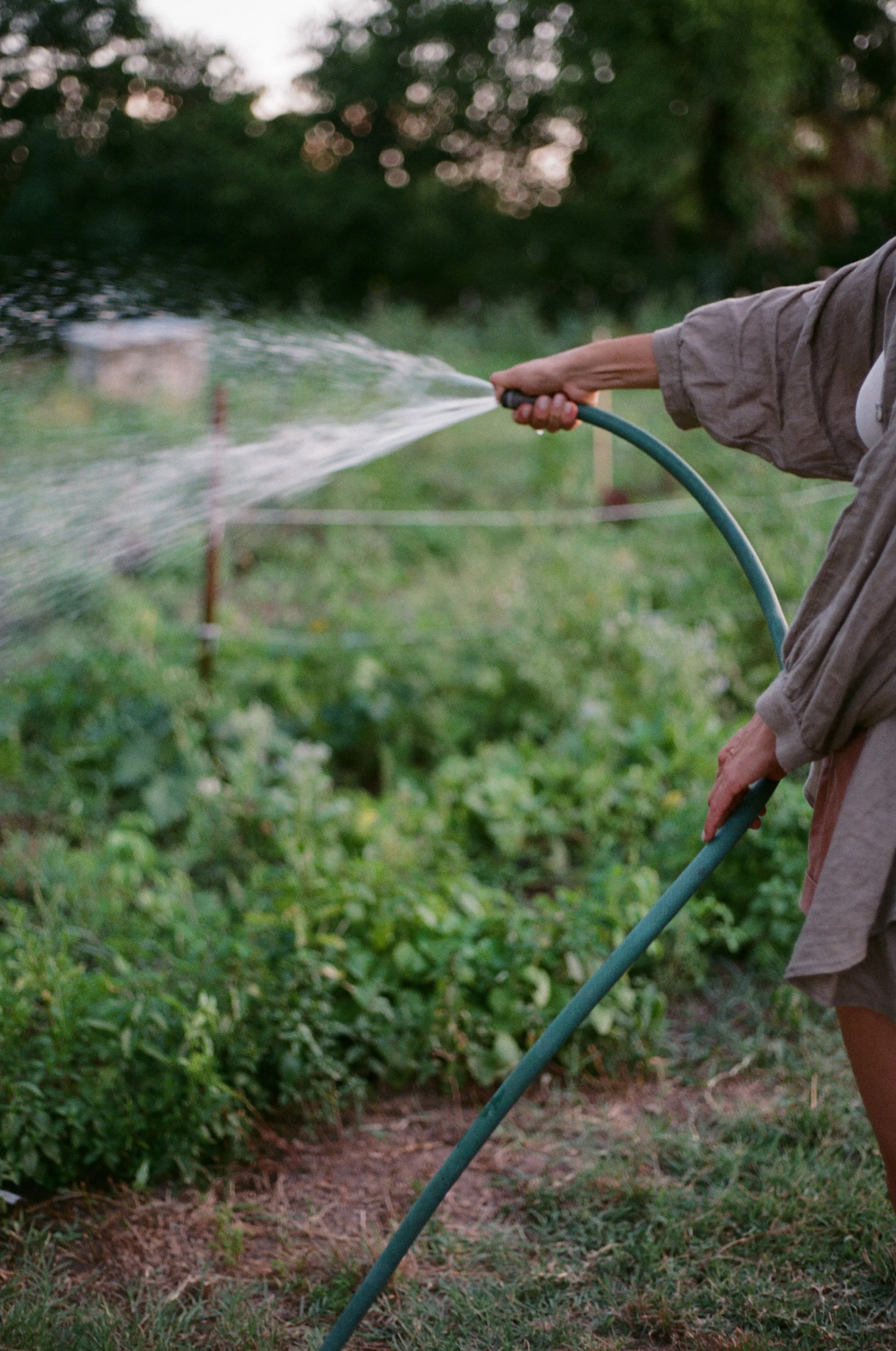 000004160017 (1).jpg