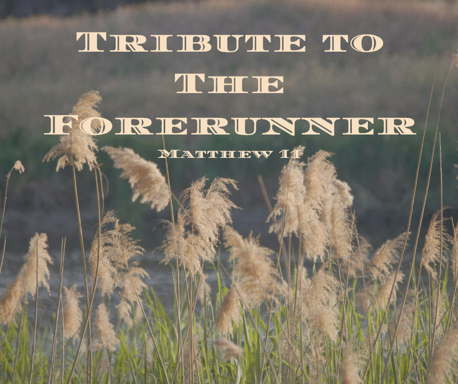 Tribute to the forerunner - sermons on Matthew 11