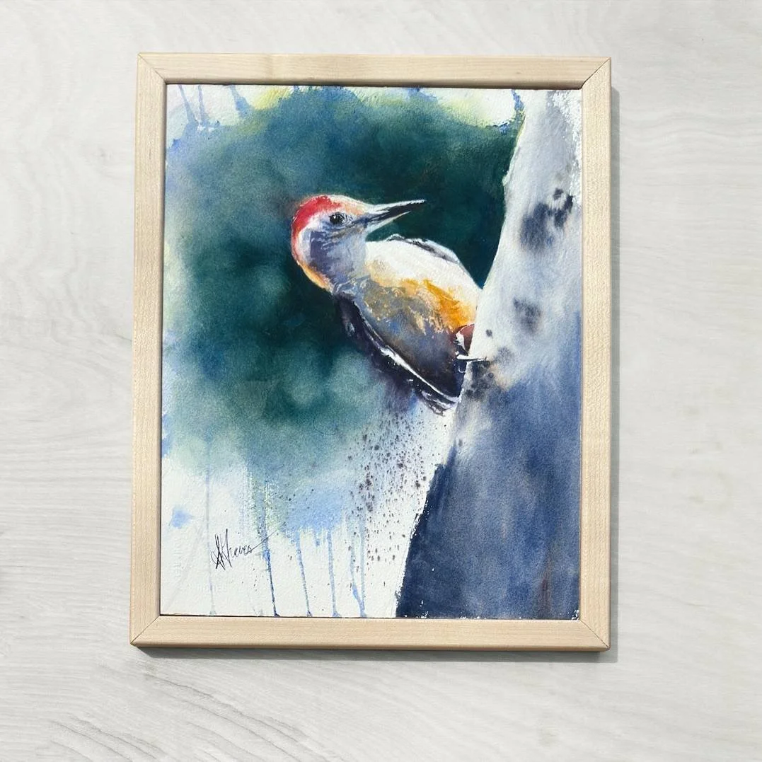 Sarah-Graves-Red-bellied-woodpecker-watercolor-16x12-No1.jpg