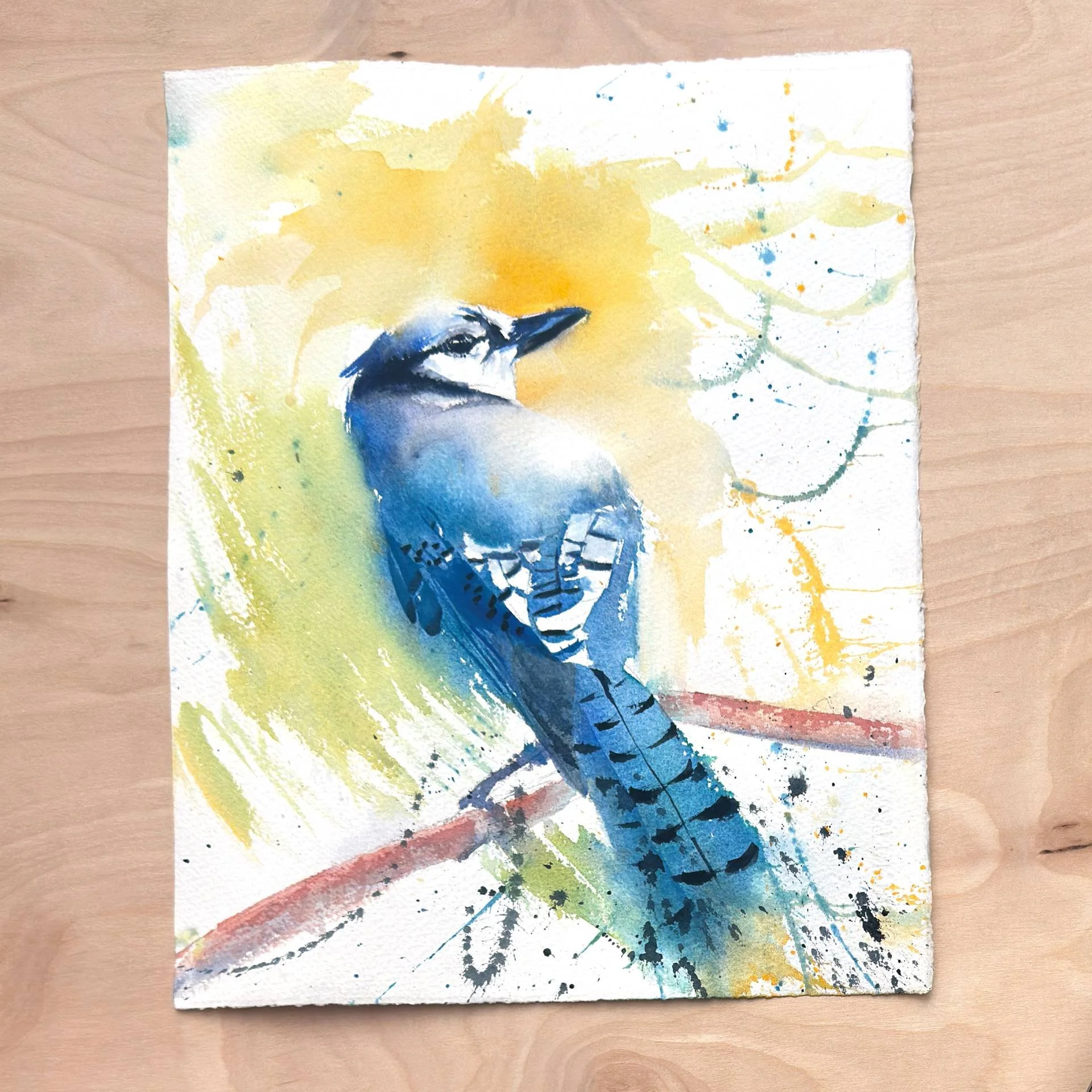 Sarah-Graves-Blue-Jay-11x14-Watercolor.jpg