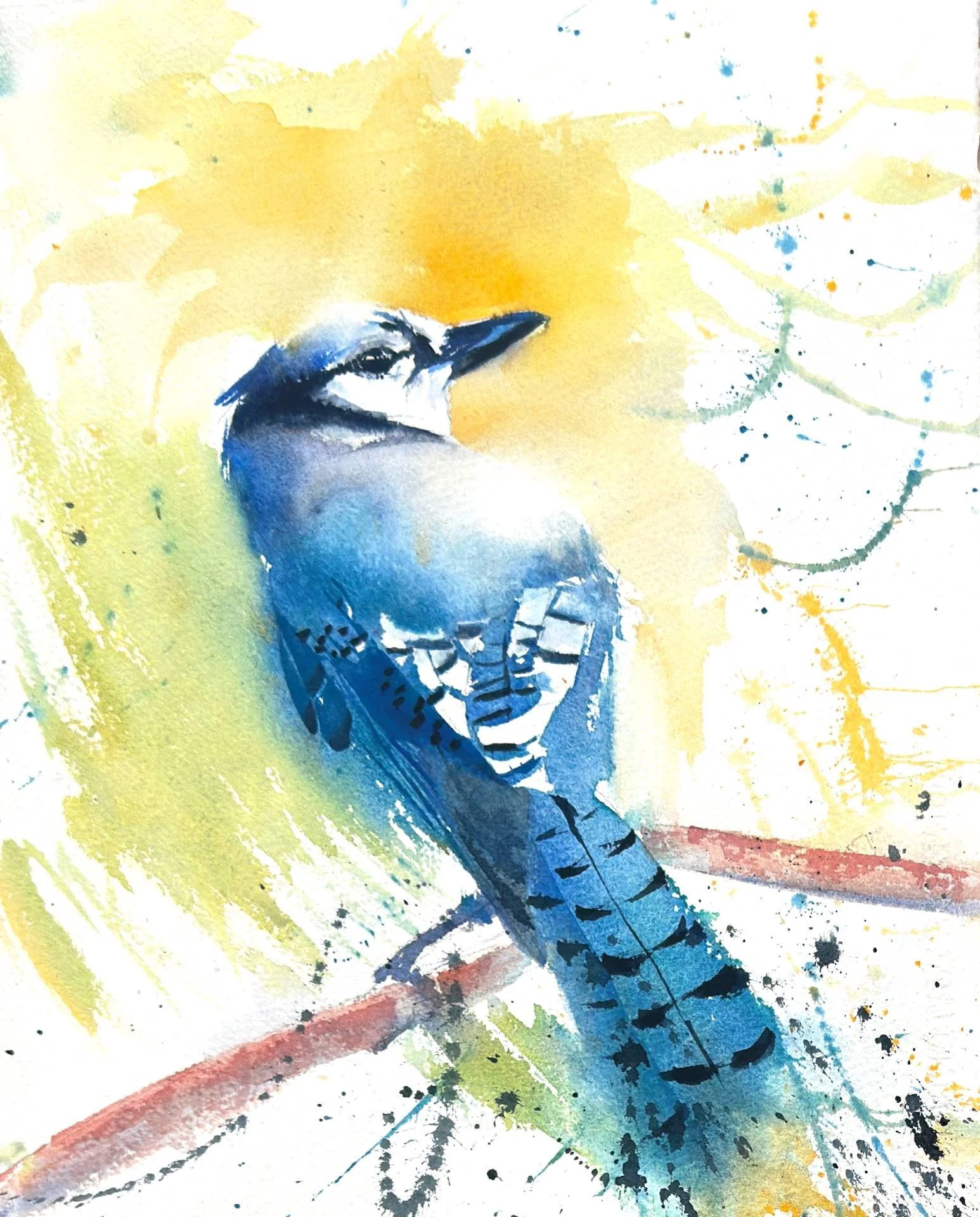 Sarah-Graves-Blue-Jay-11x14-Watercolor-Cropped (1).jpg
