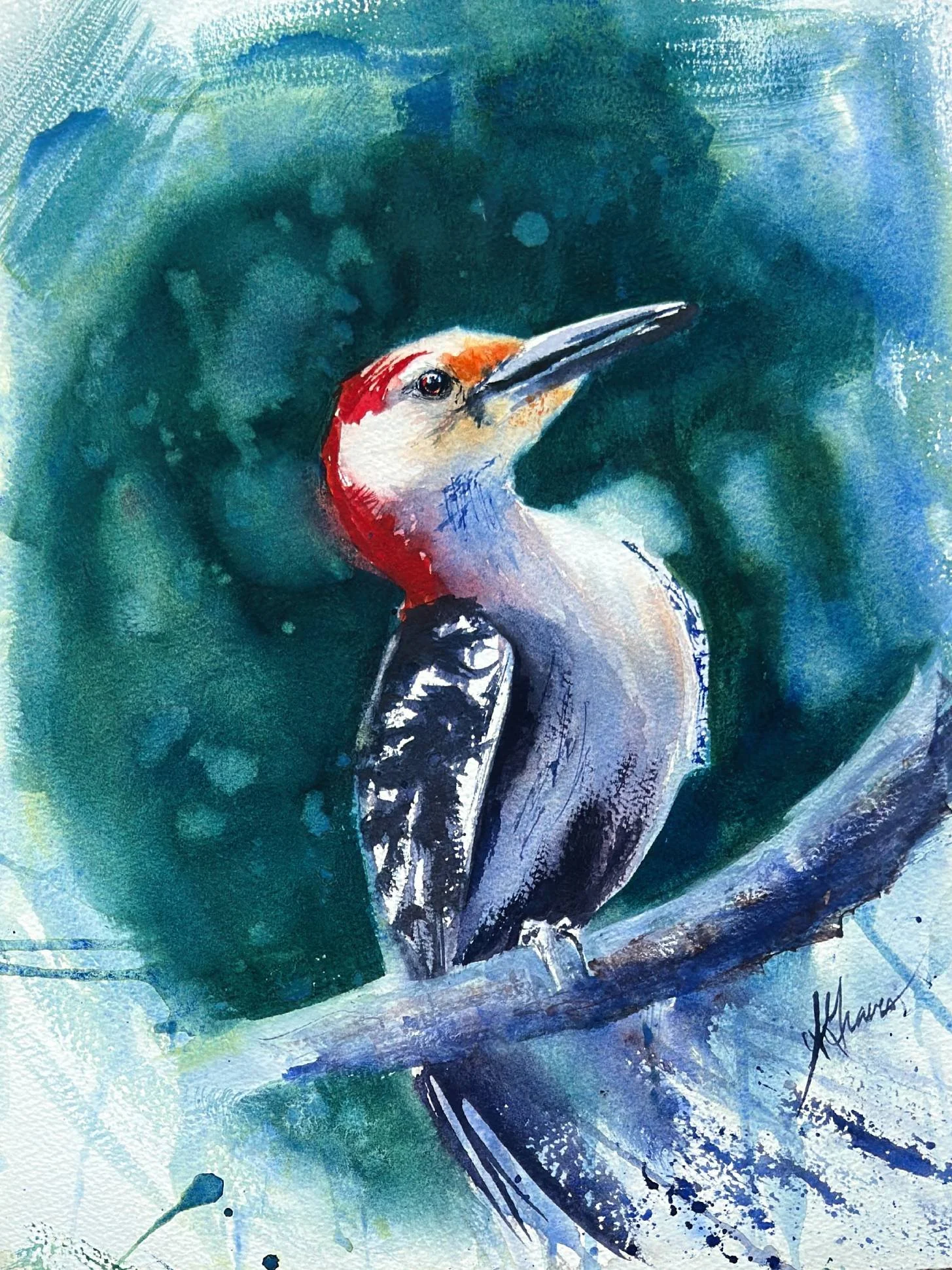 Sarah-Graves-Red-Bellied-Woodpecker-Watercolor-11x14-No2.jpg