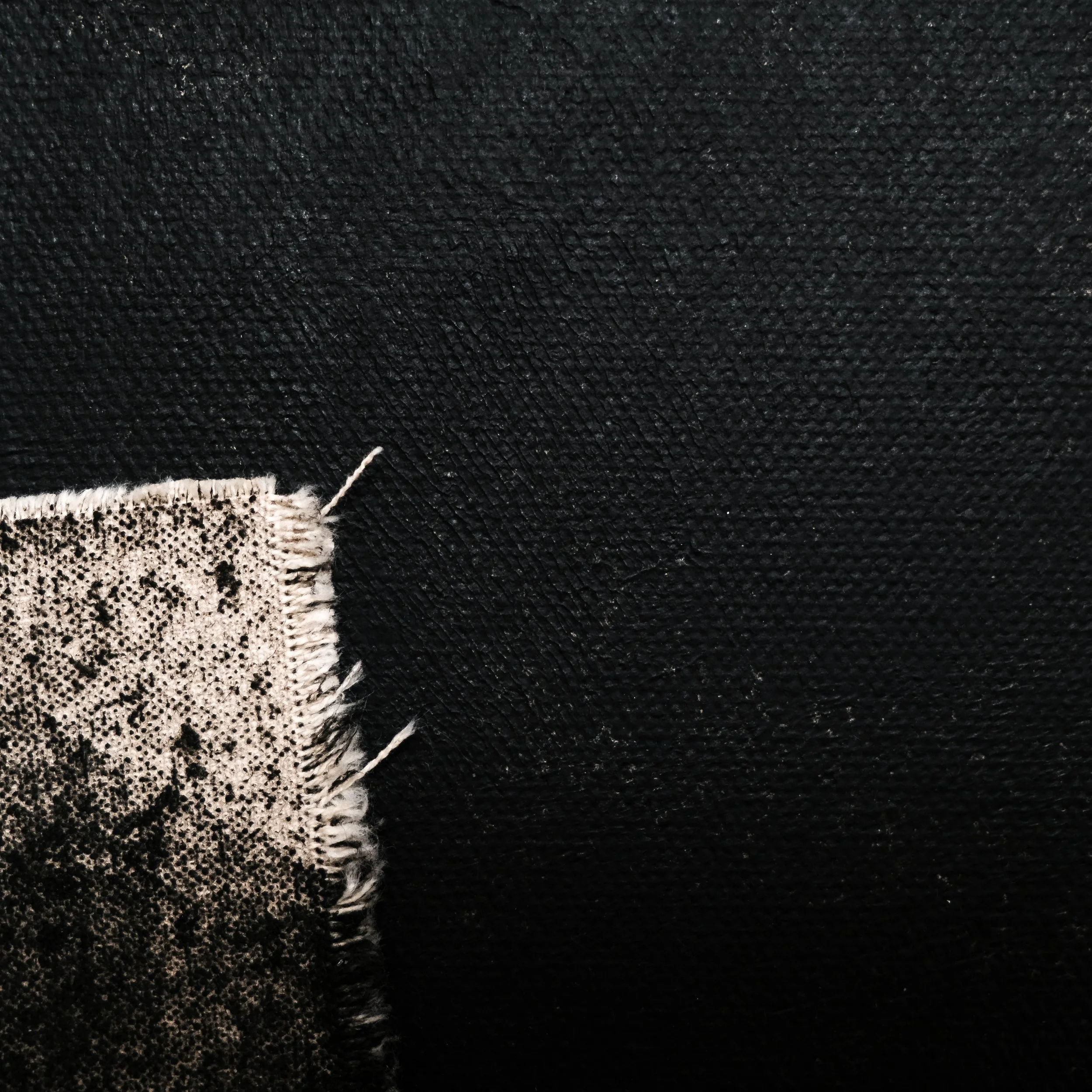 202412_Dialogues with an introvert No25-5.jpg