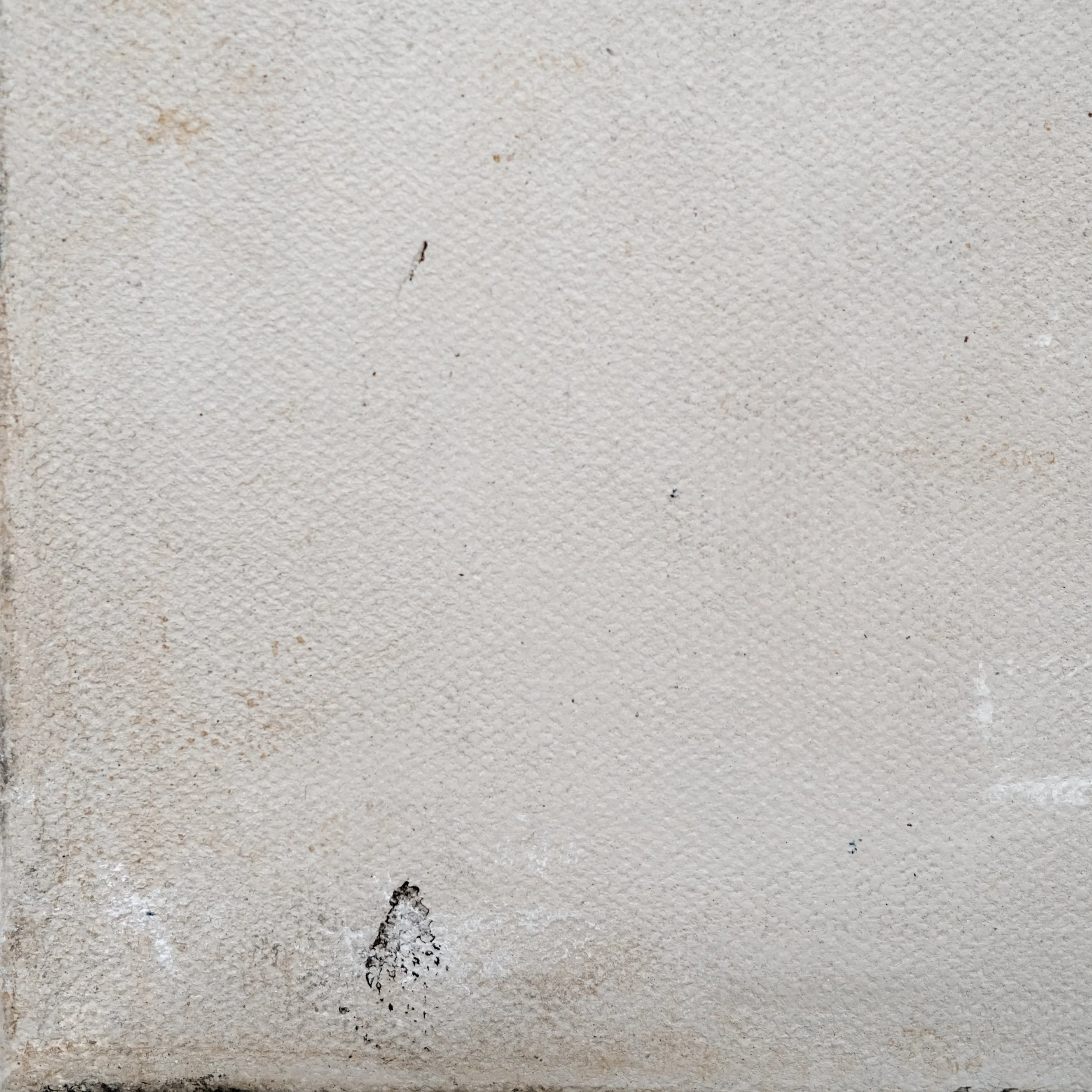 202502_The Way of Tea #8-8.JPG