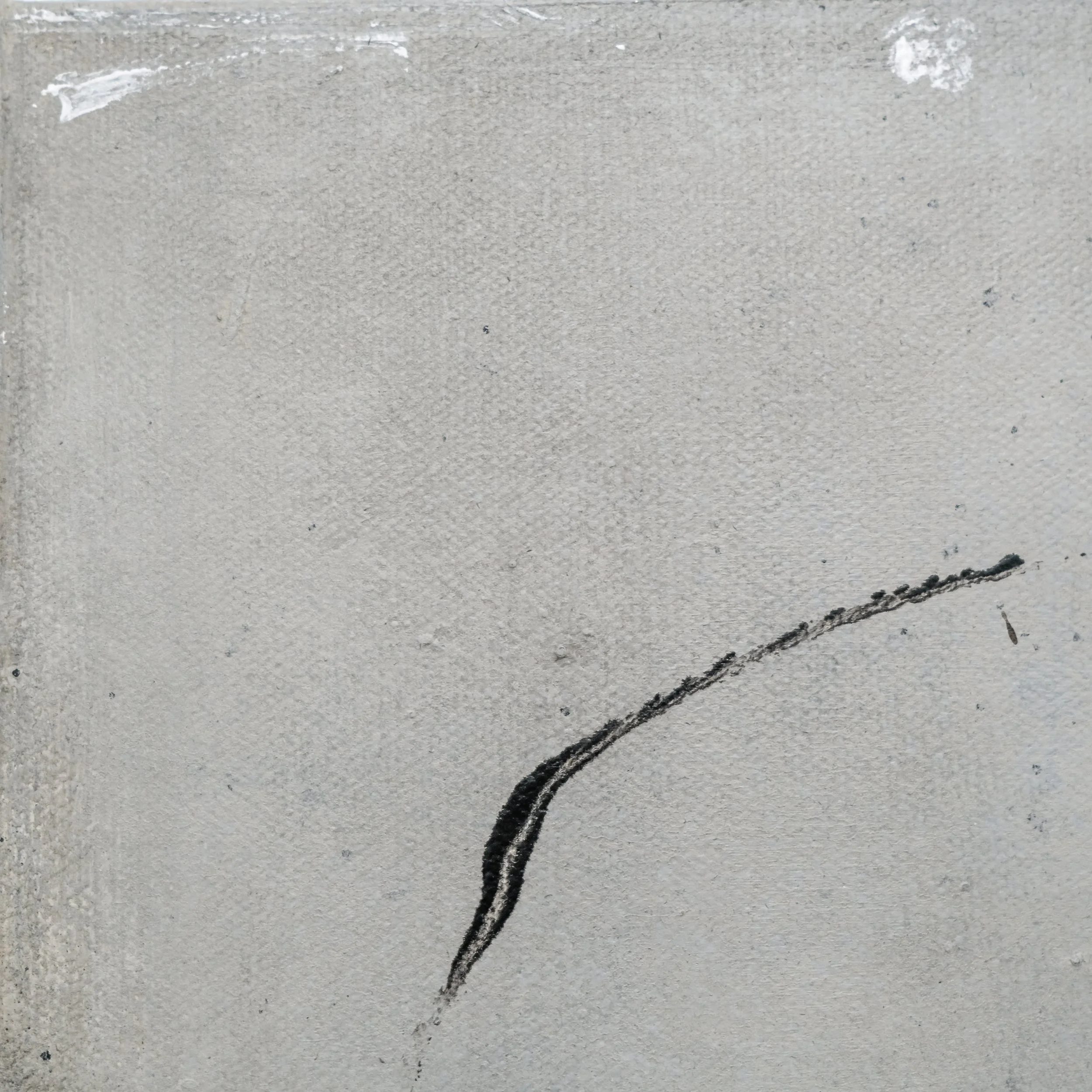 202502_The Way of Tea #2-8.JPG