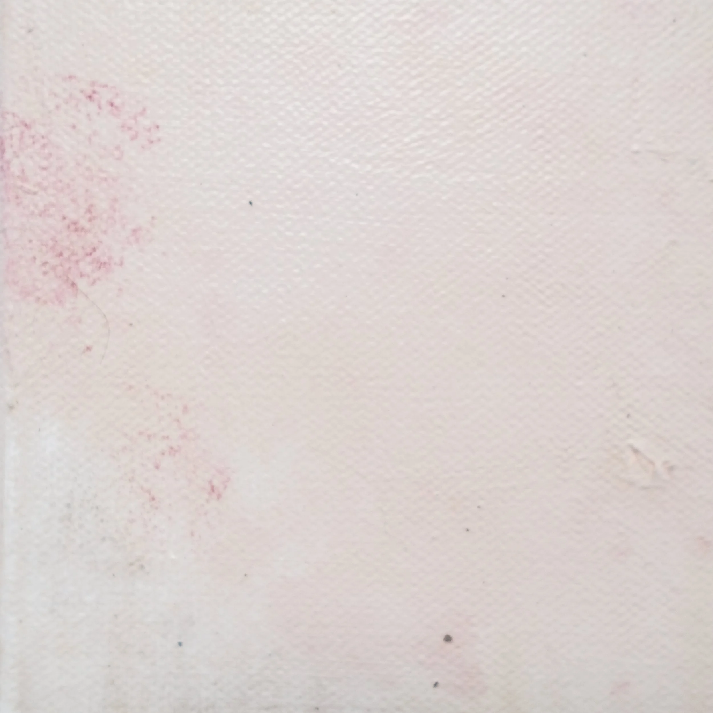 202502_The Way of Tea #5-5.JPG