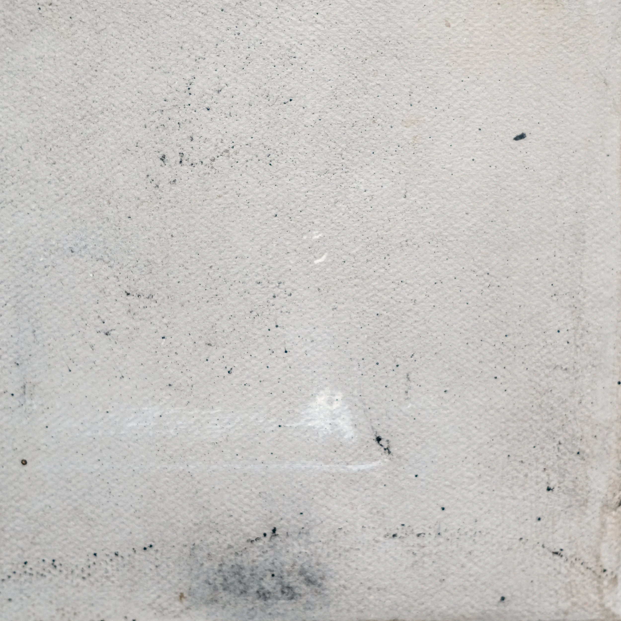 202502_The Way of Tea #8-5.JPG