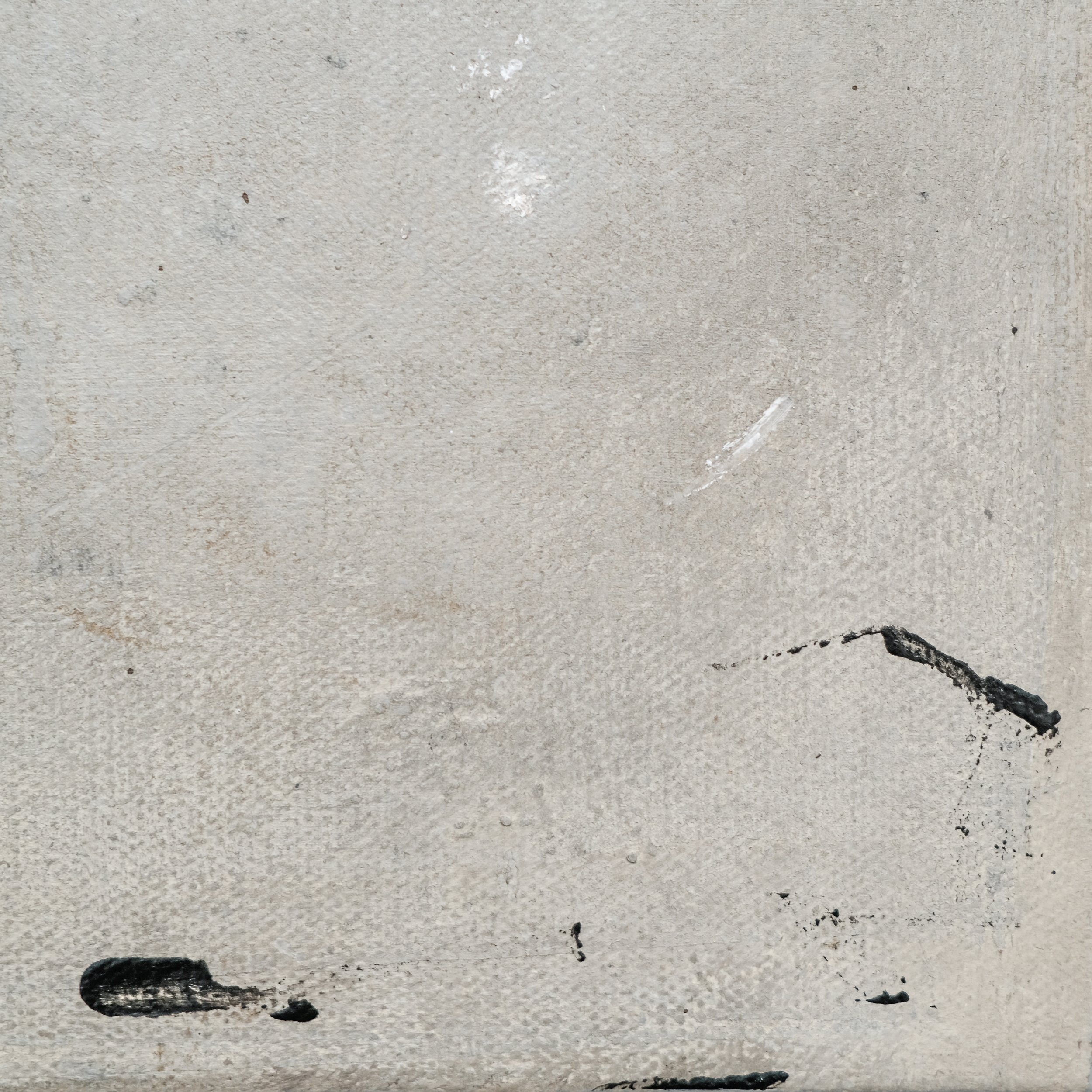 202502_The Way of Tea #2-4.JPG