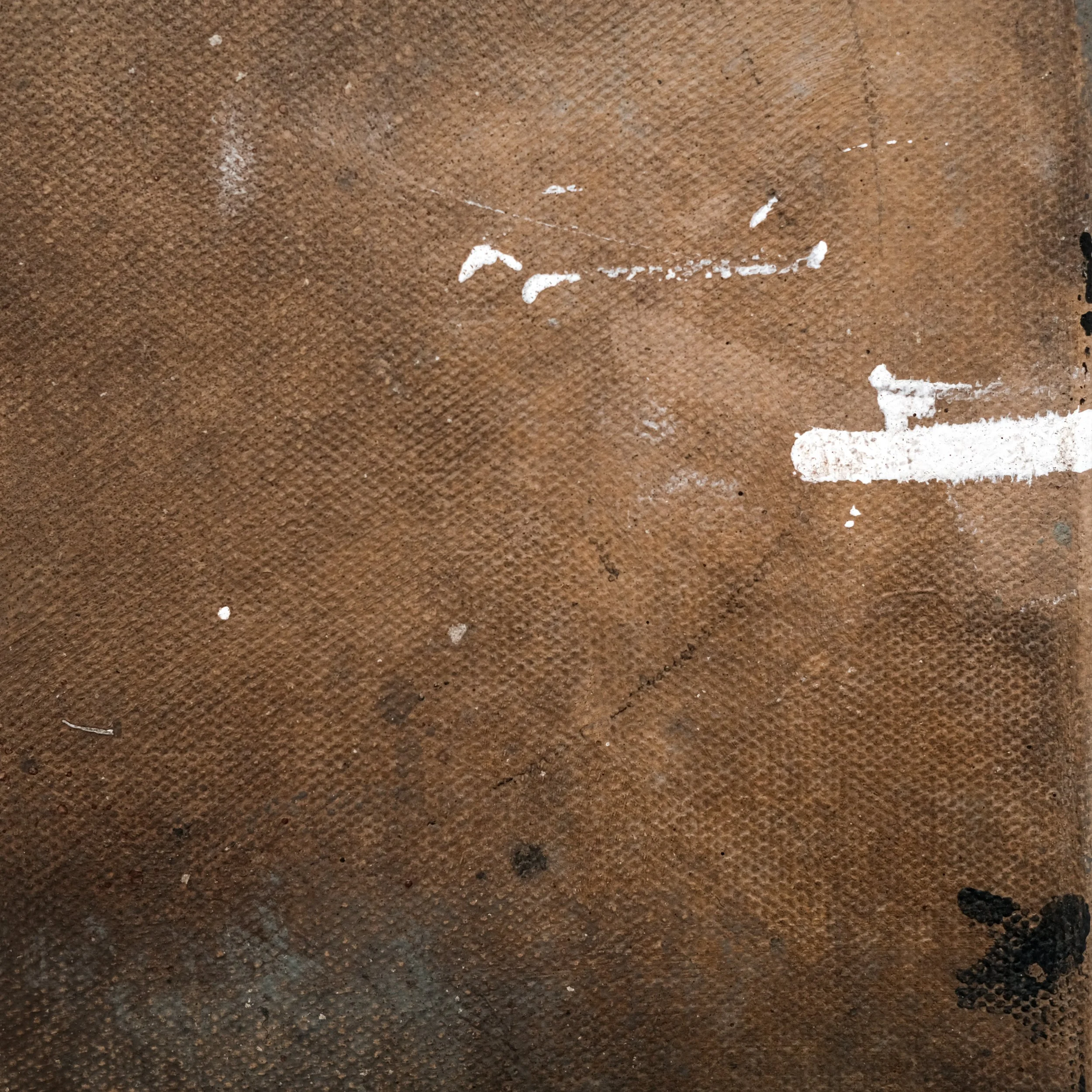 202502_The Way of Tea #7-5.JPG