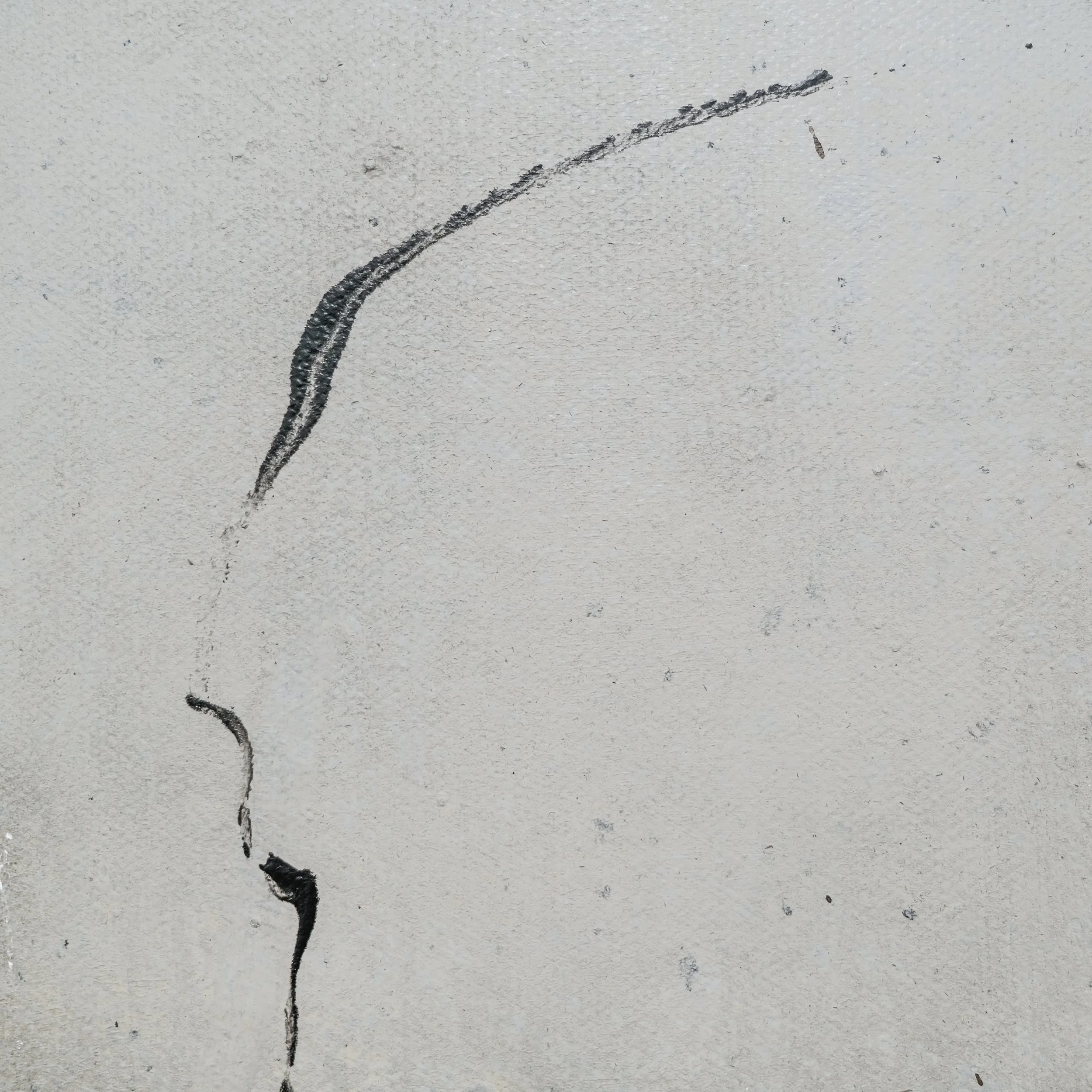 202502_The Way of Tea #2-6.JPG