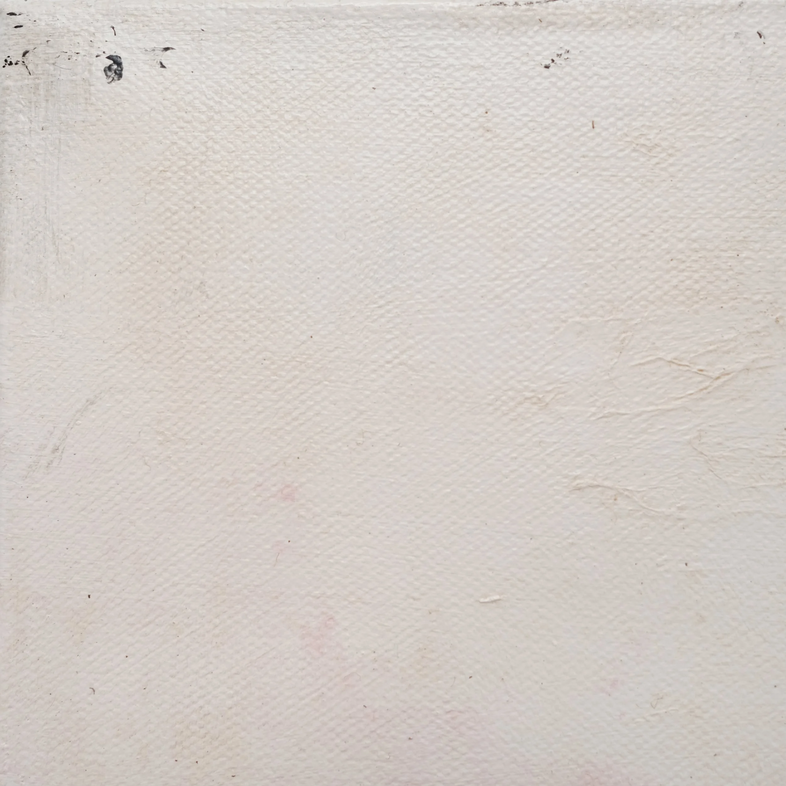 202502_The Way of Tea #5-8.JPG