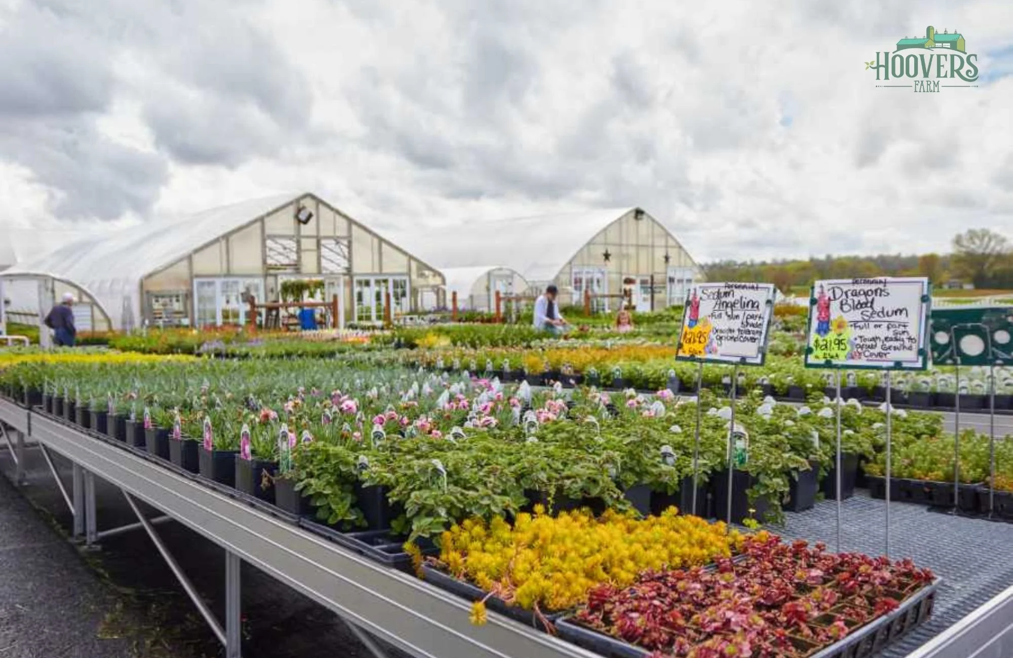 9 MustVisit Greenhouses in Lancaster, Lititz & Ephrata — Life in Lititz
