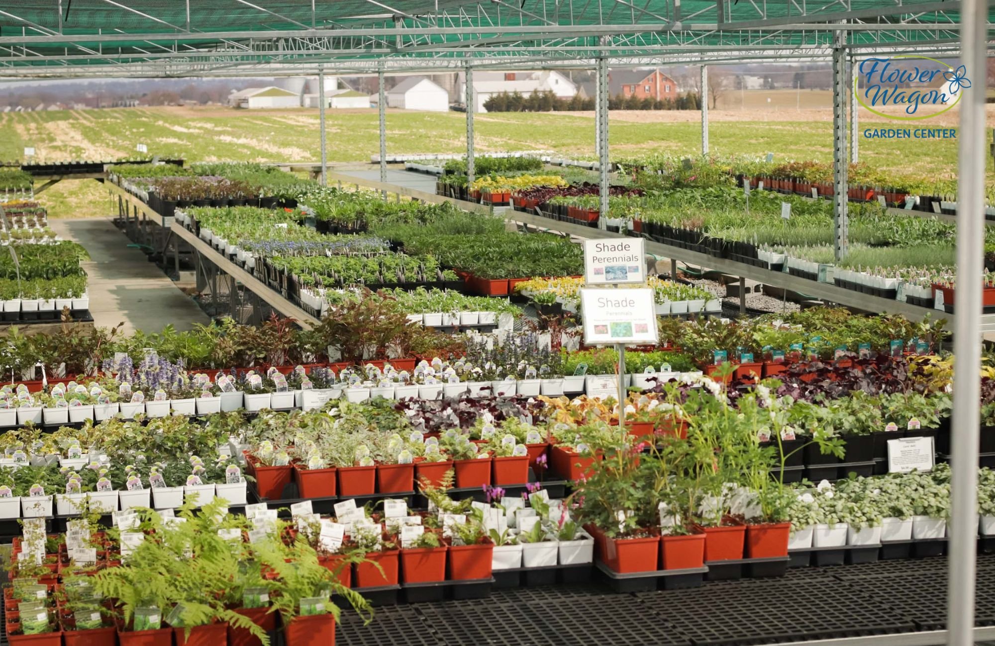 9 MustVisit Greenhouses in Lancaster, Lititz & Ephrata — Life in Lititz